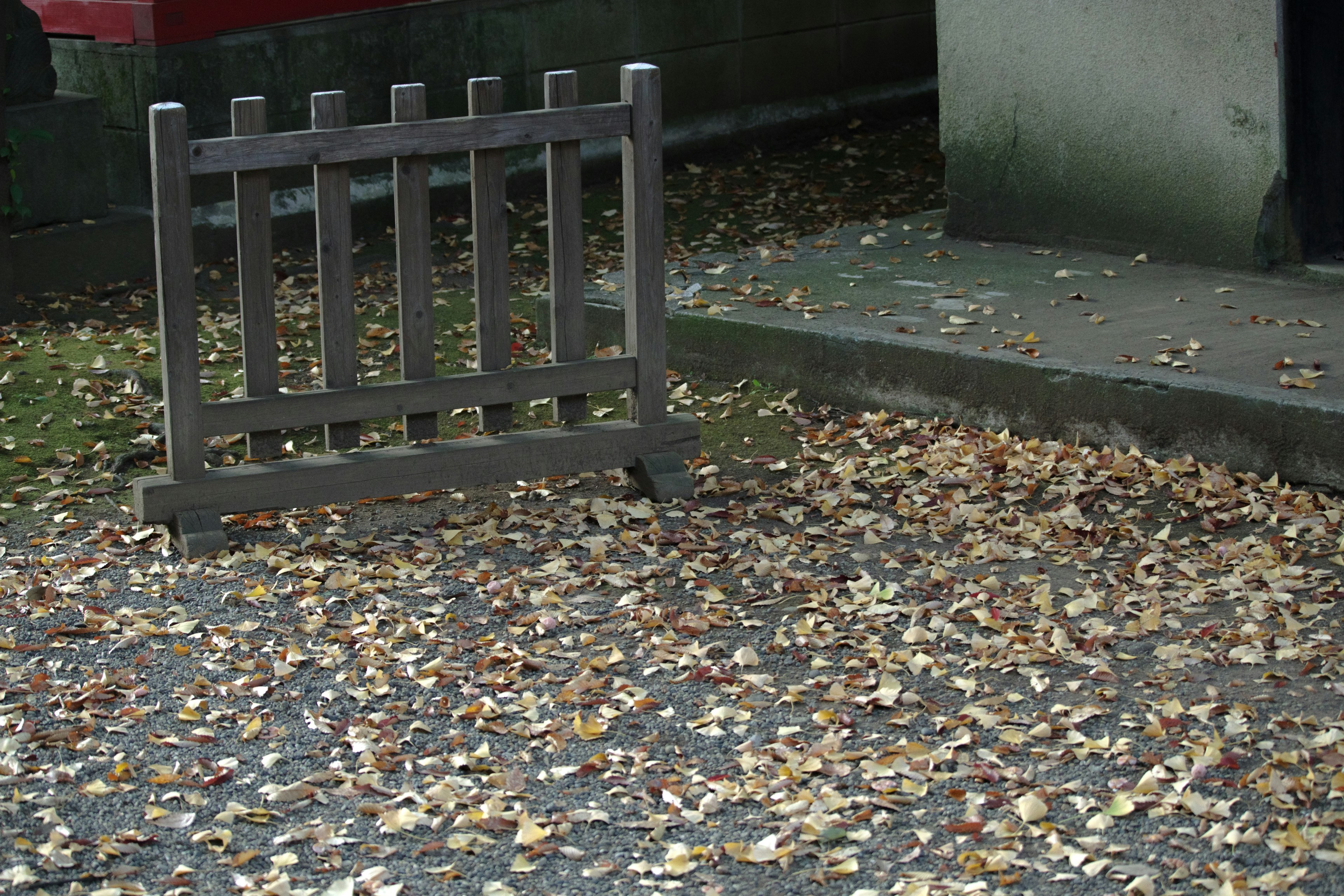 Small wooden fence near a ground covered with fallen leaves