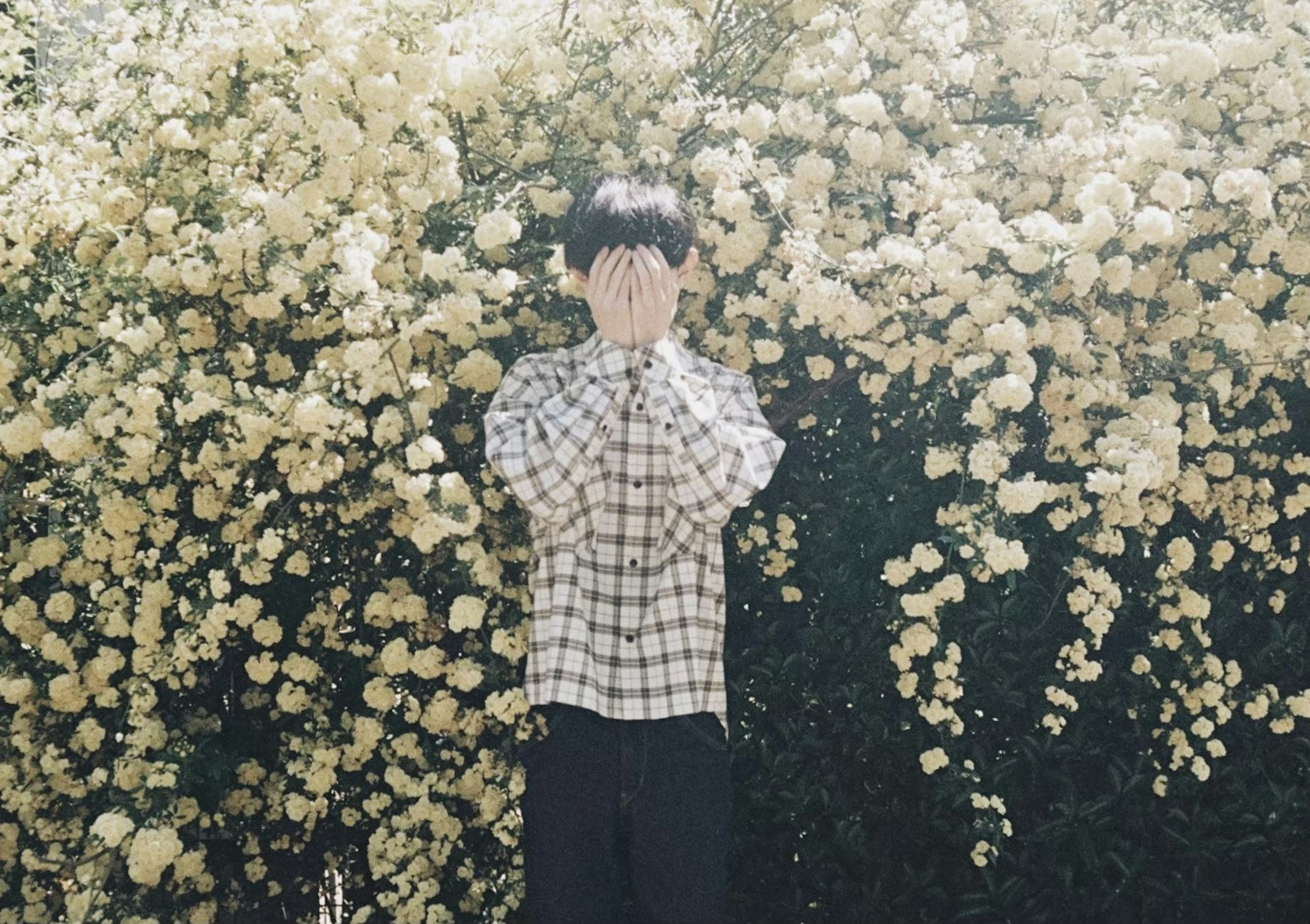 Una persona joven escondiendo su rostro frente a una pared de flores amarillas