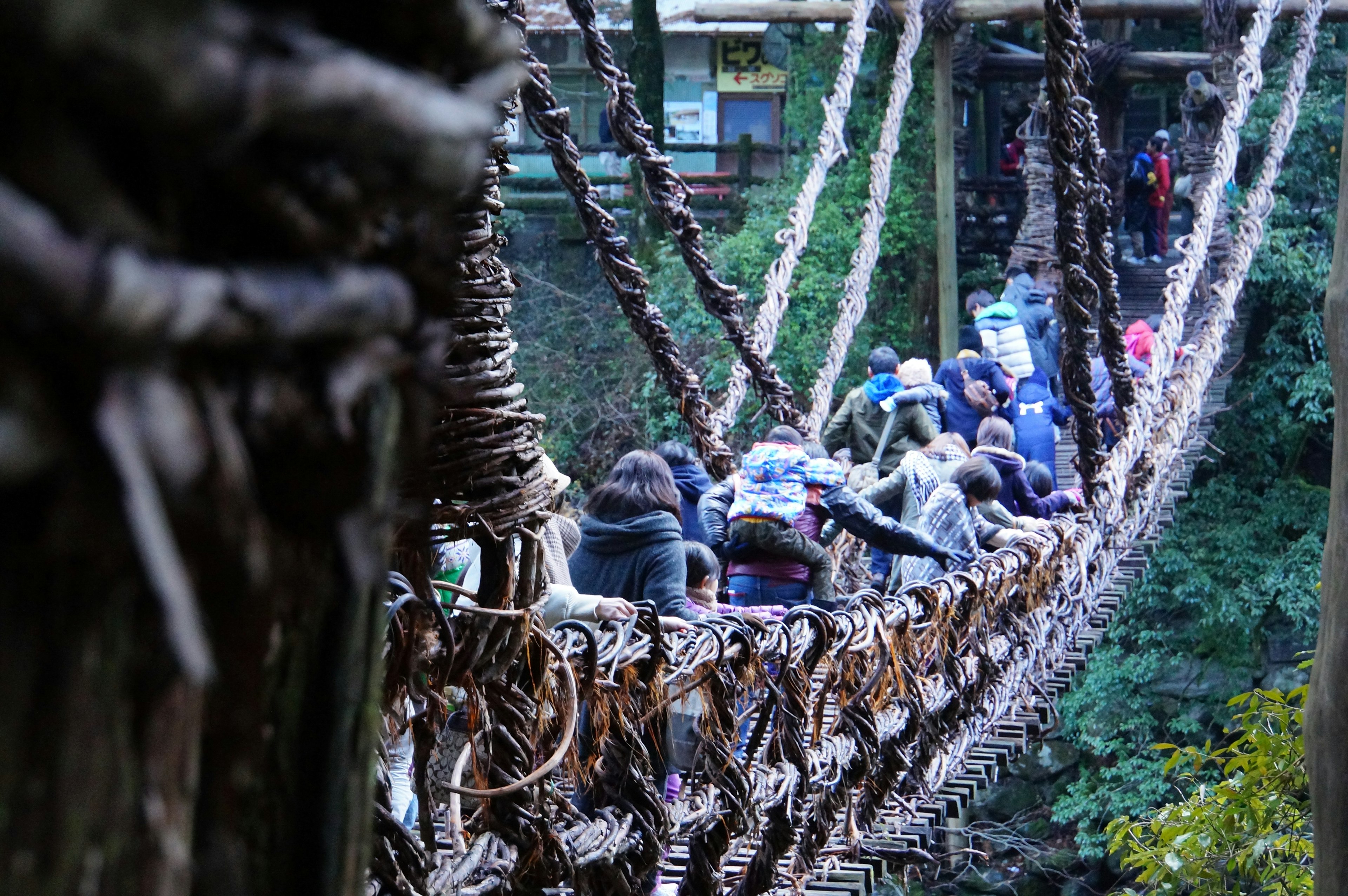 Turisti che attraversano un ponte sospeso in un ambiente verdeggiante