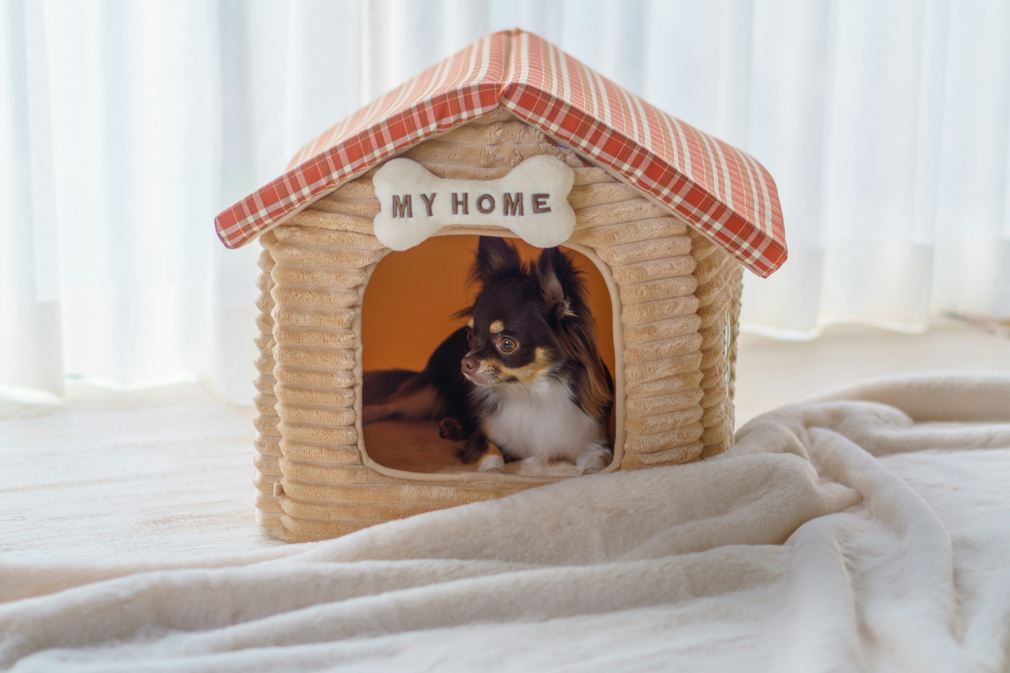 A dog inside a cozy dog house with a sign that says MY HOME