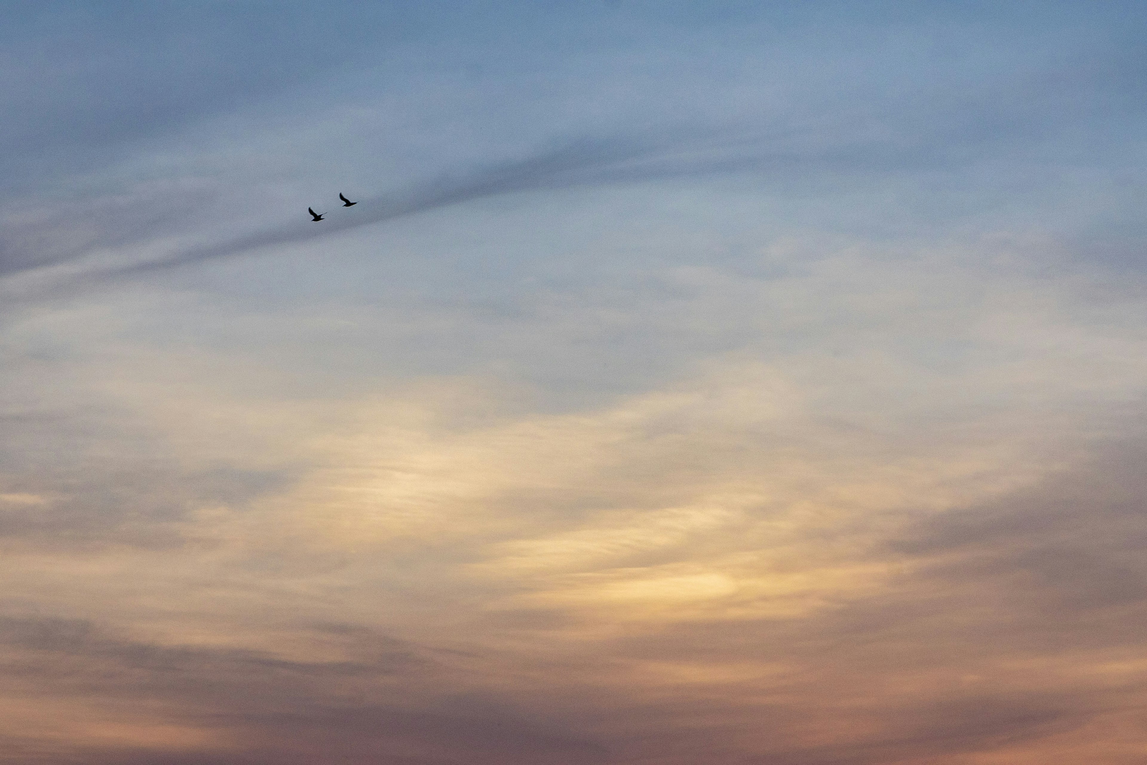 Langit senja berwarna dengan awan dan beberapa burung