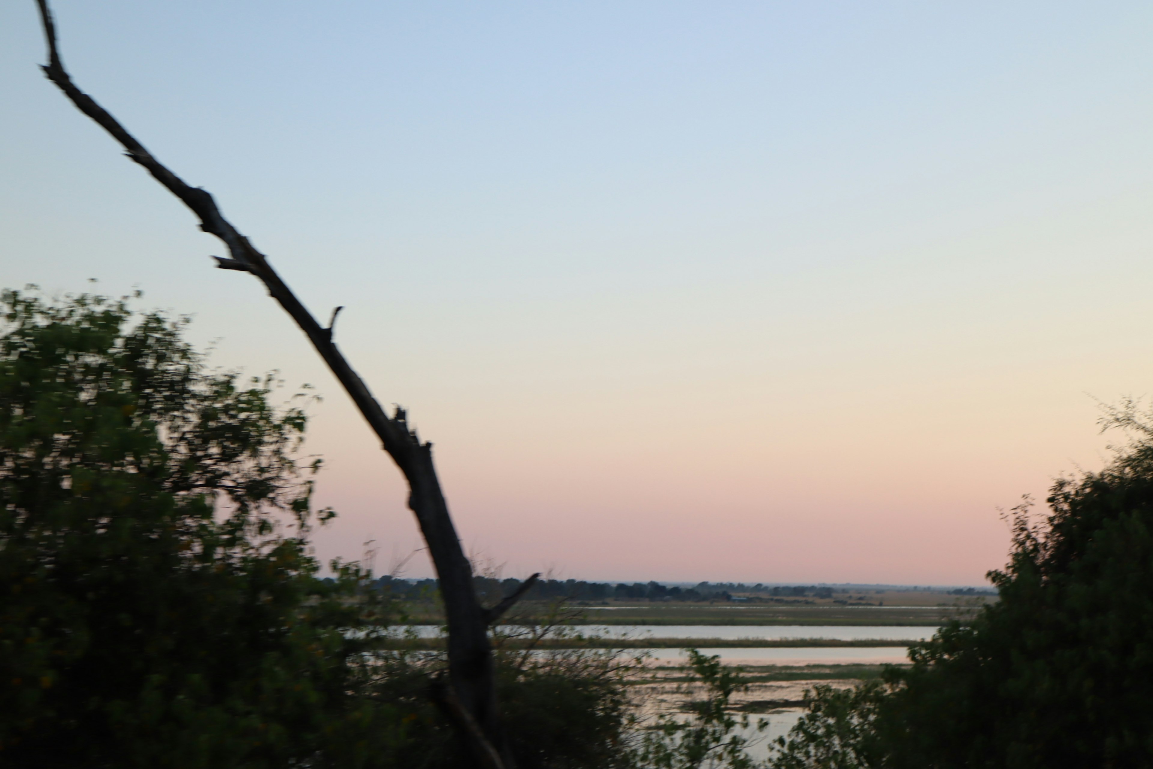 Ruhige Wasseroberfläche mit einem sanften Himmel im Hintergrund und einem Baumzweig