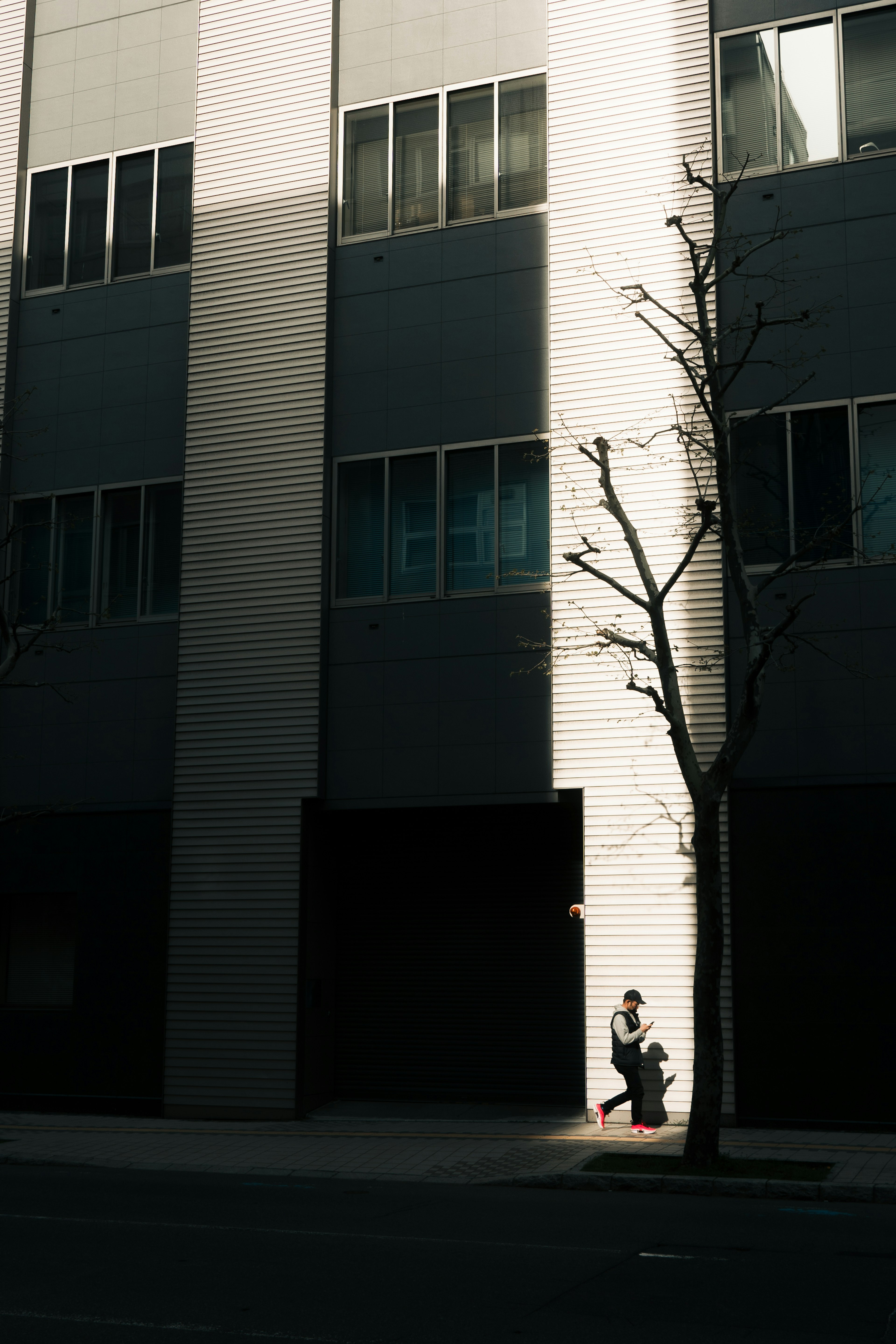 Person sitting in shadow of a tall building with a tree silhouette