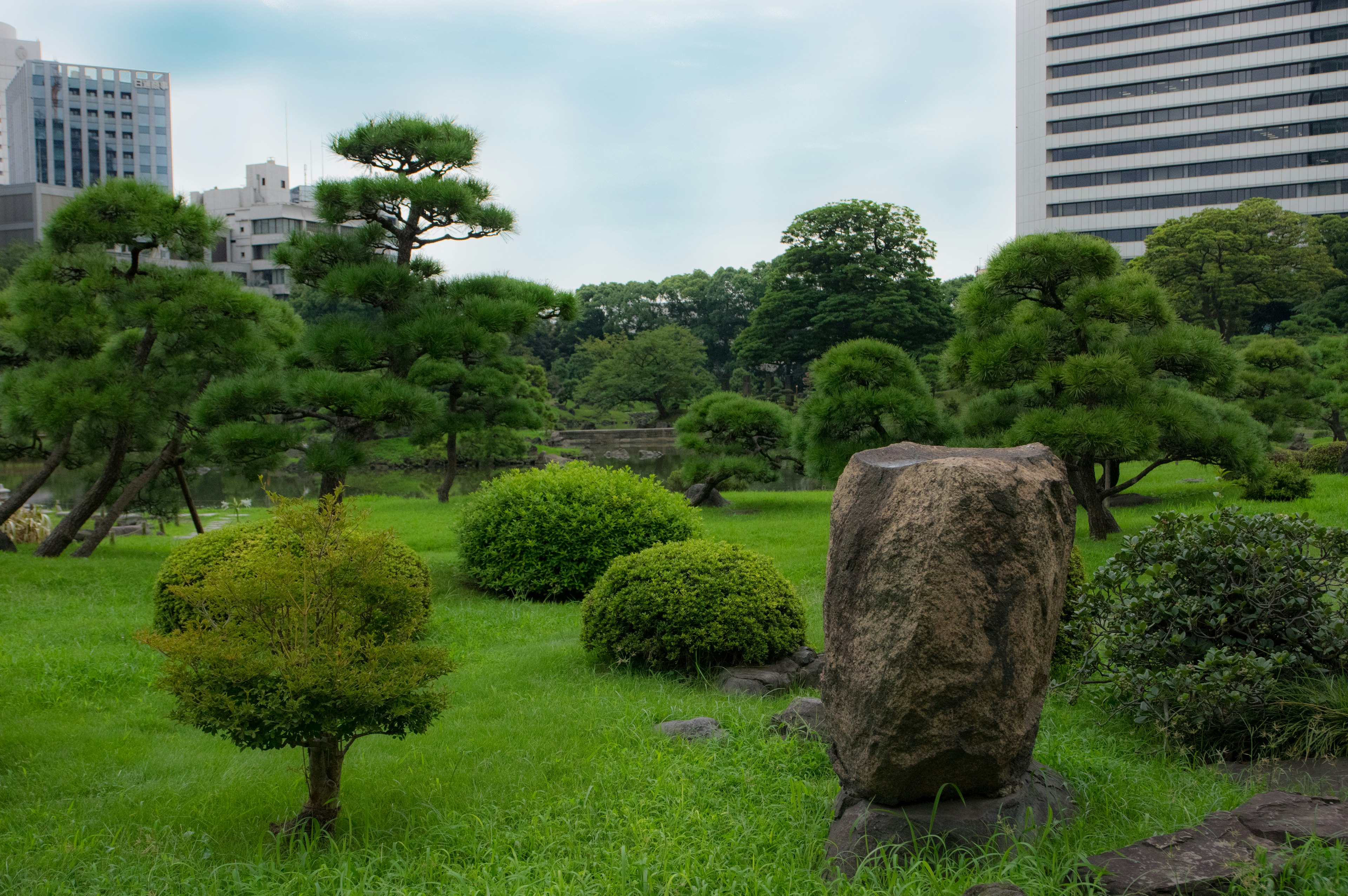 A lush garden featuring a large rock and carefully shaped trees