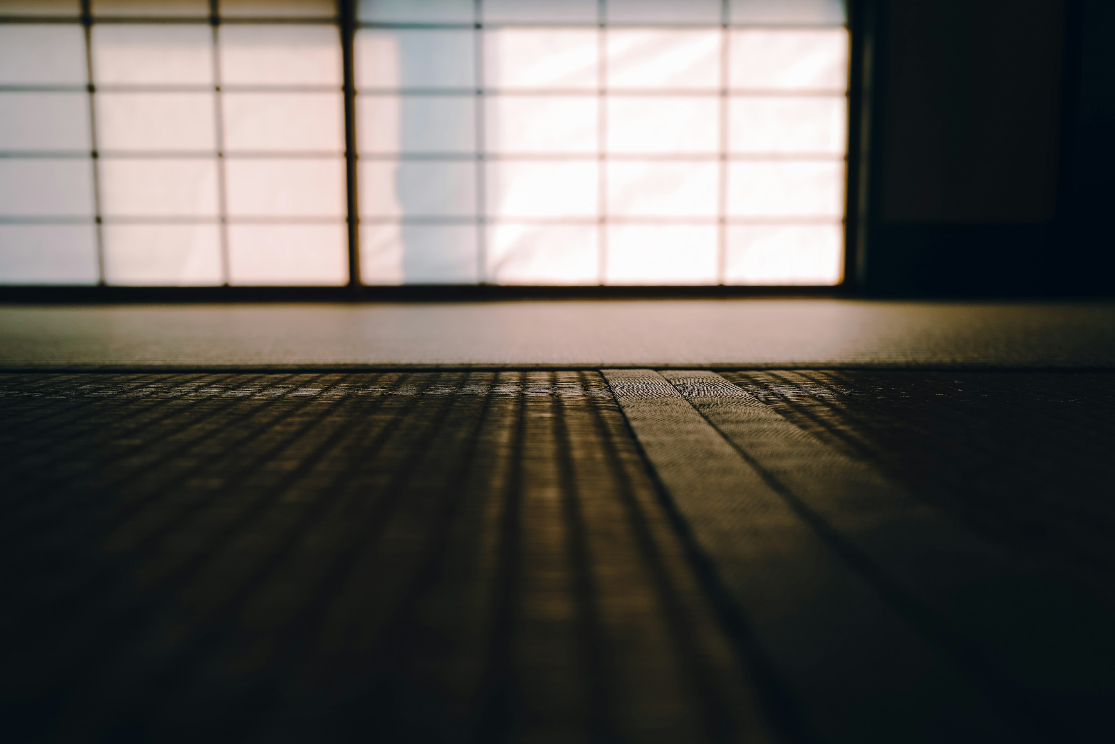 Una vista serena di un pavimento in tatami con luce soffusa che filtra attraverso gli schermi shoji