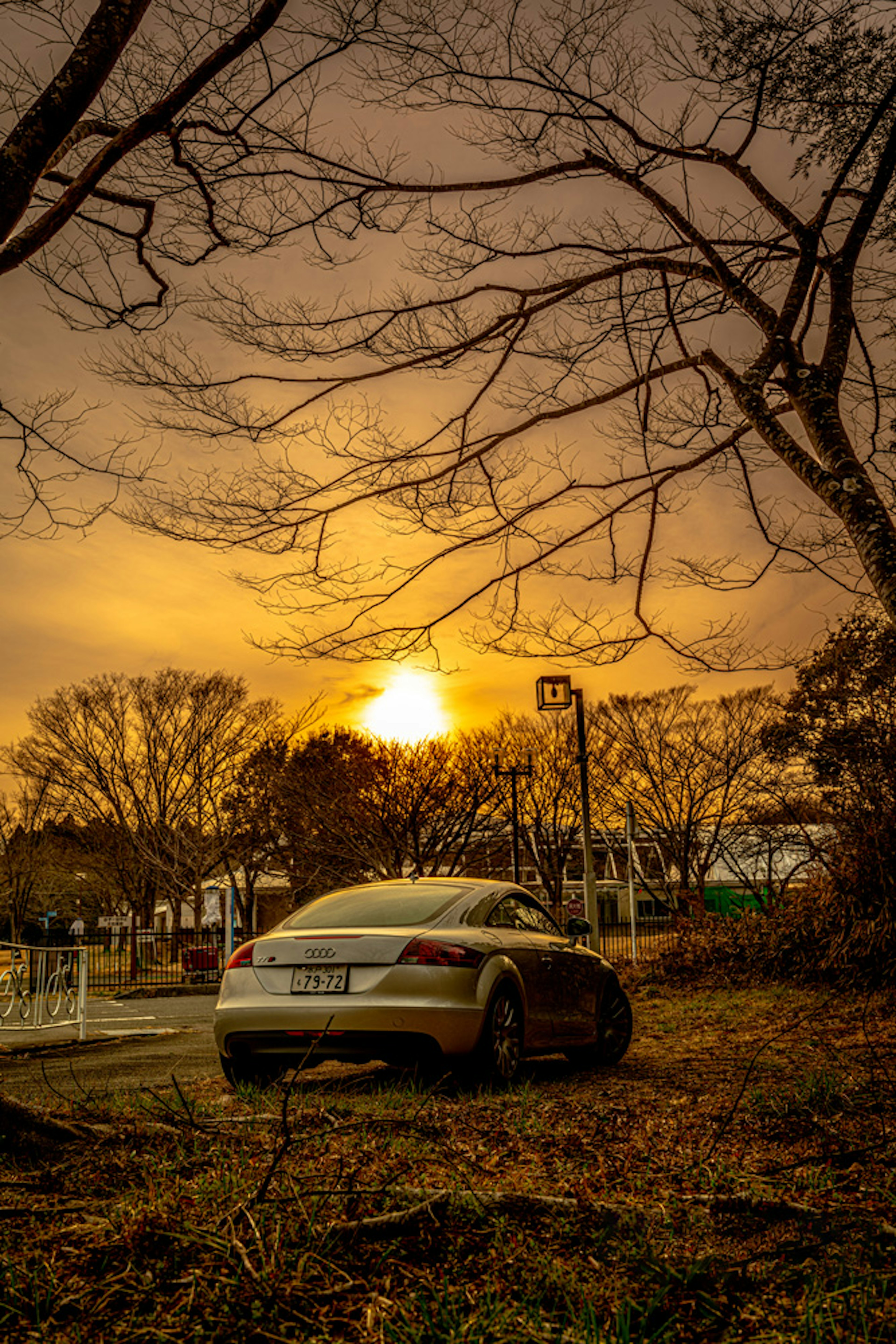 Voiture avec silhouette d'arbres au coucher de soleil