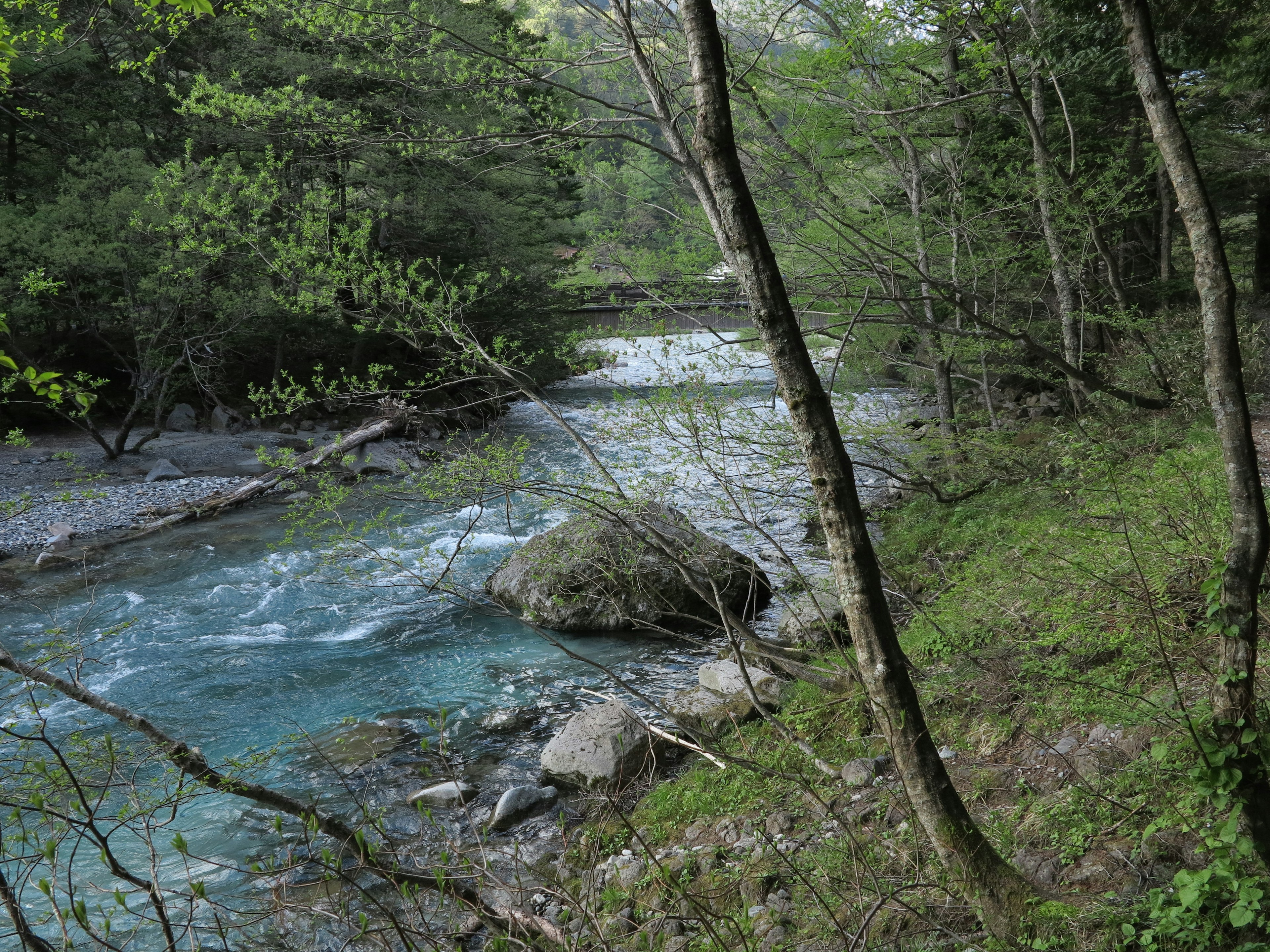 Pemandangan indah dari sungai biru yang dikelilingi oleh pepohonan hijau subur