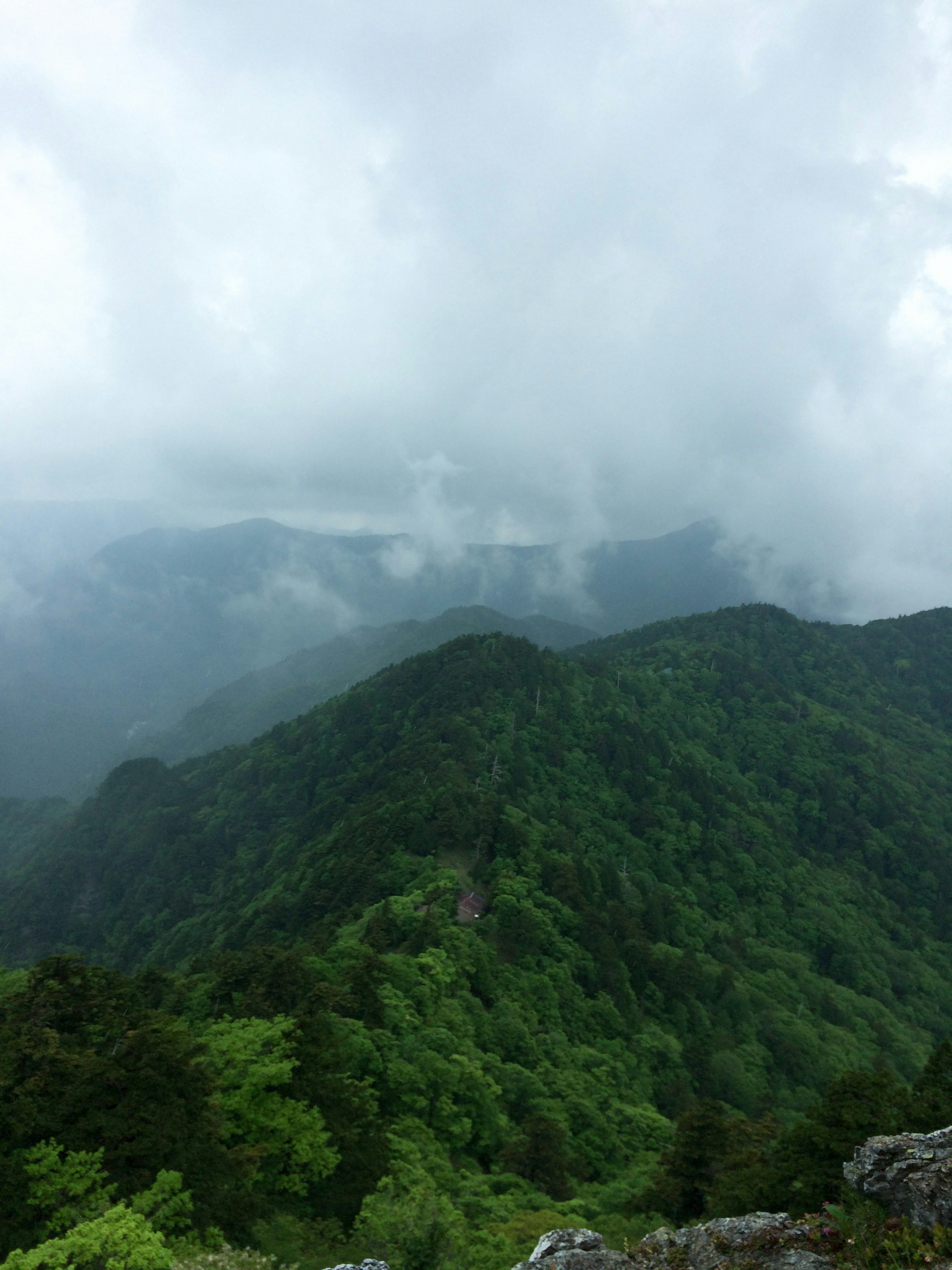 霧に包まれた緑の山々と山脈の美しい風景