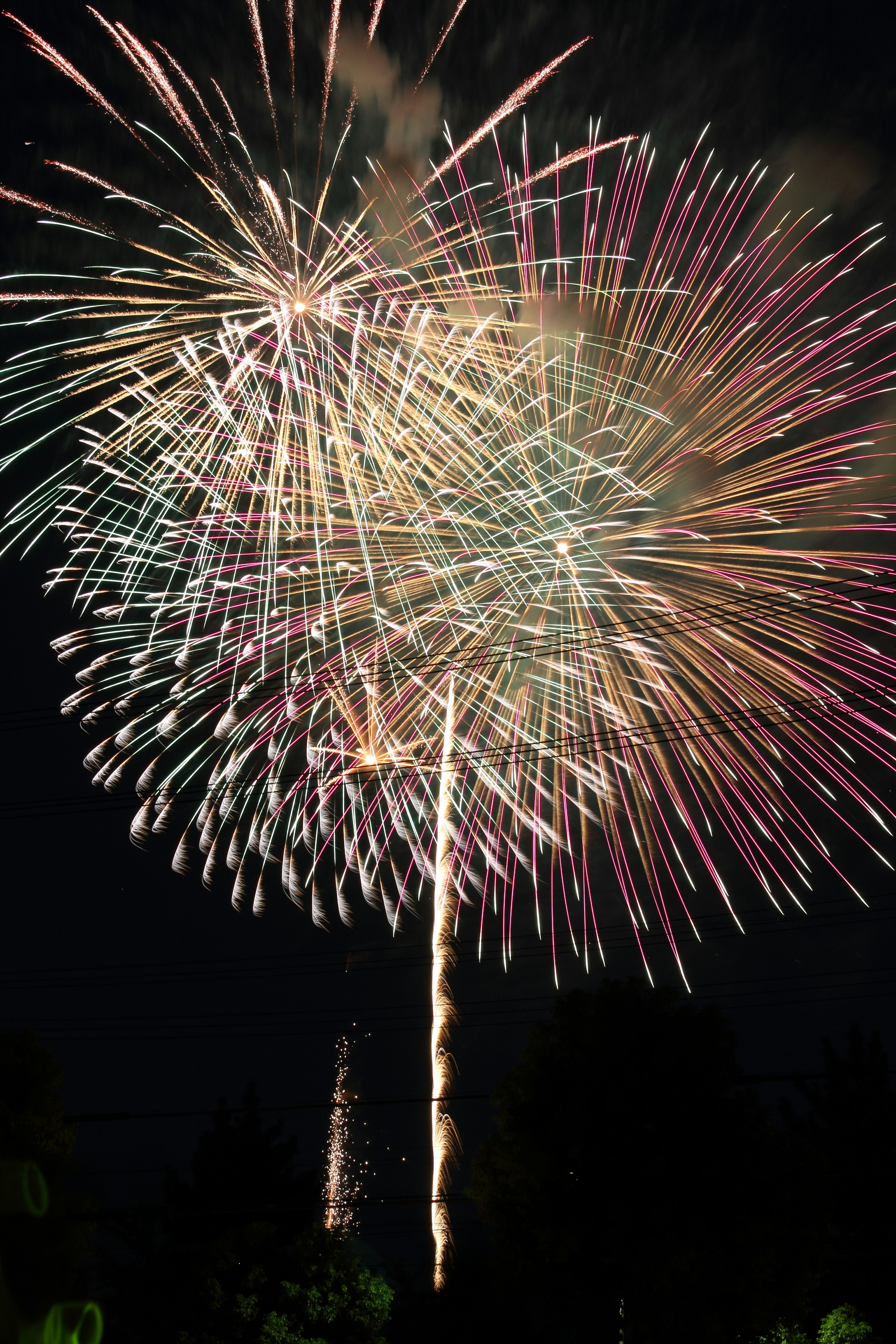 Colorful fireworks display in the night sky