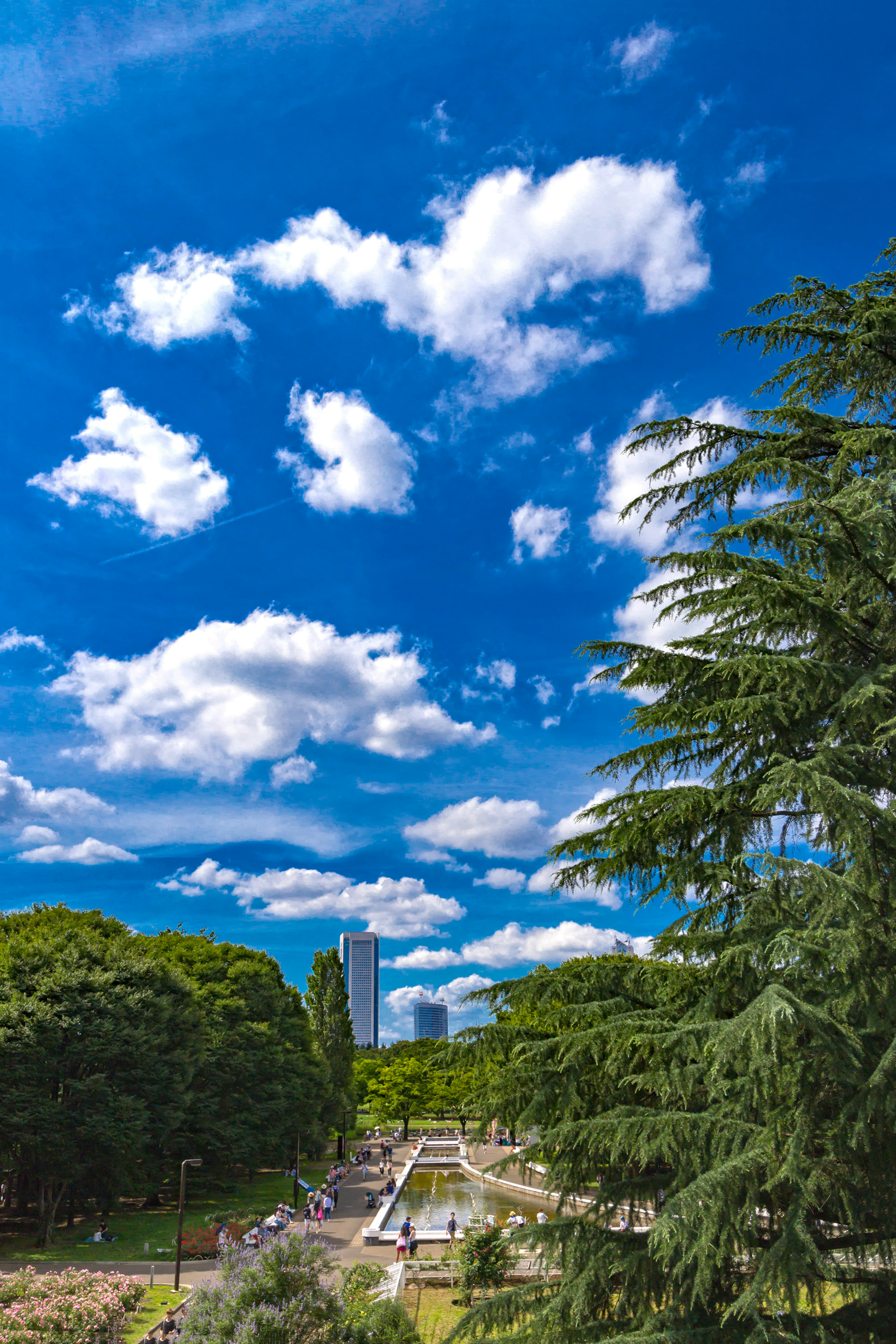 青い空と白い雲の下の公園の風景 緑の木々と遠くのビル