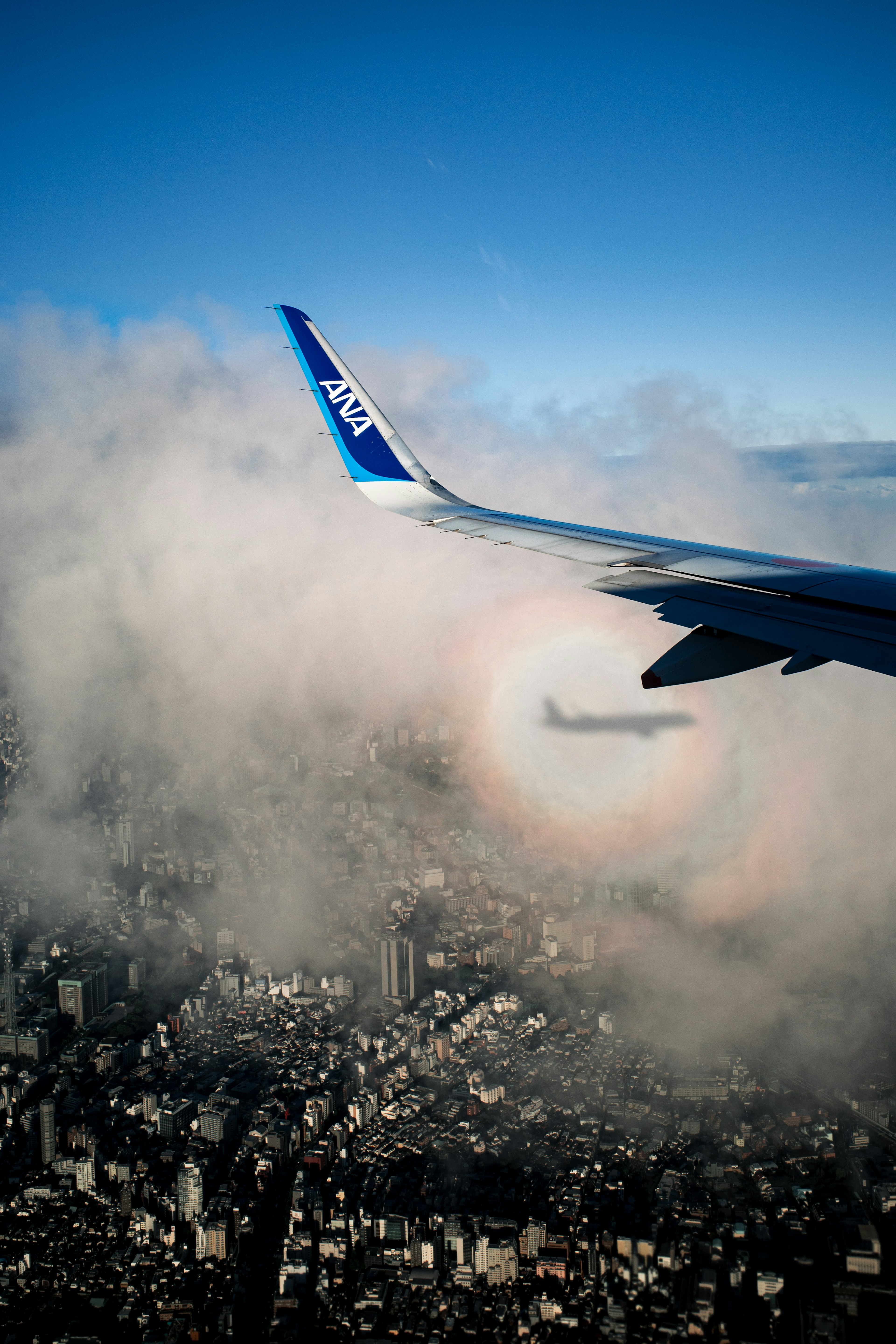 飛行機の翼と雲の中に虹のリングが見える風景