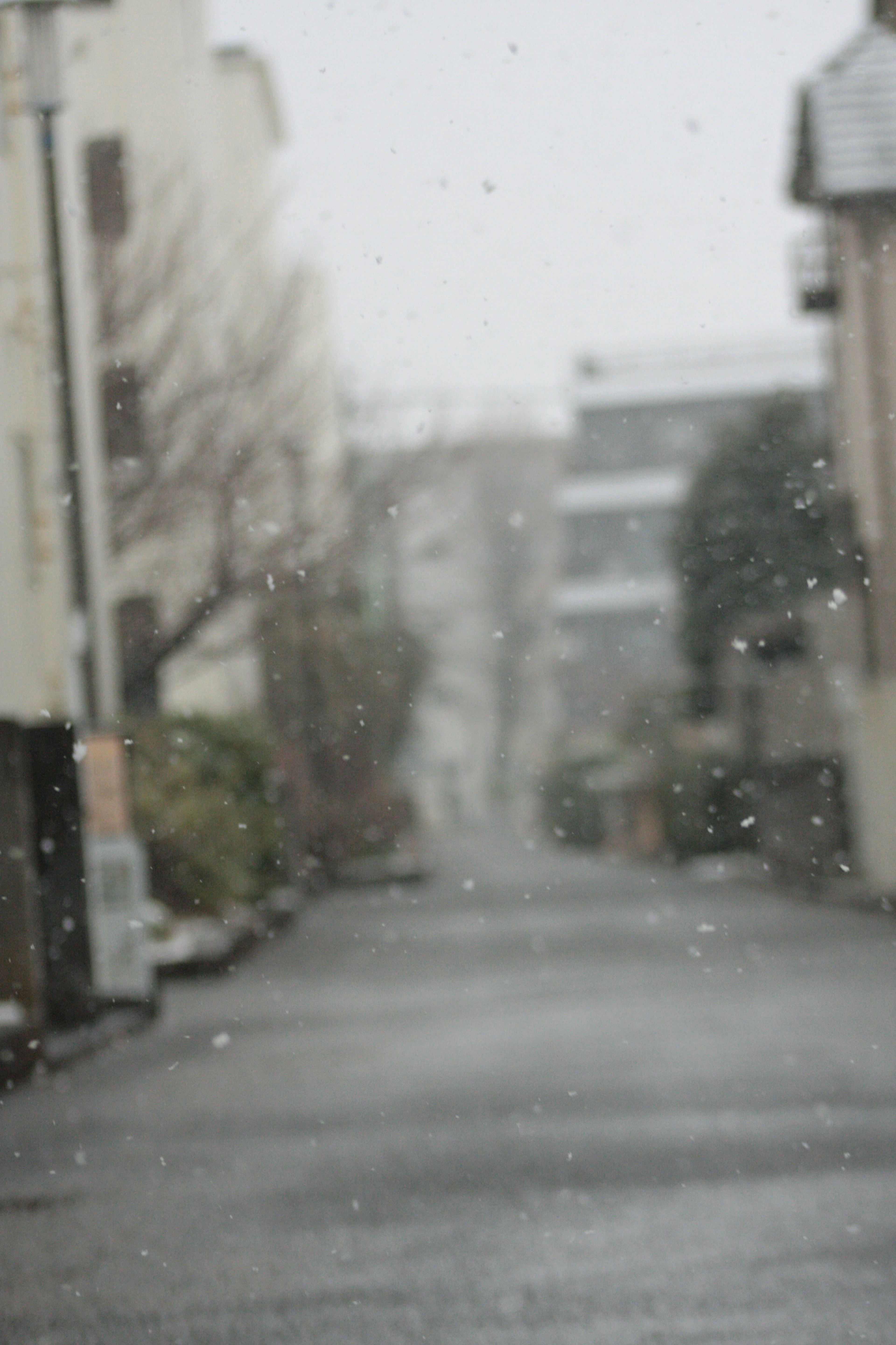 Quiet street in snowfall with blurred background