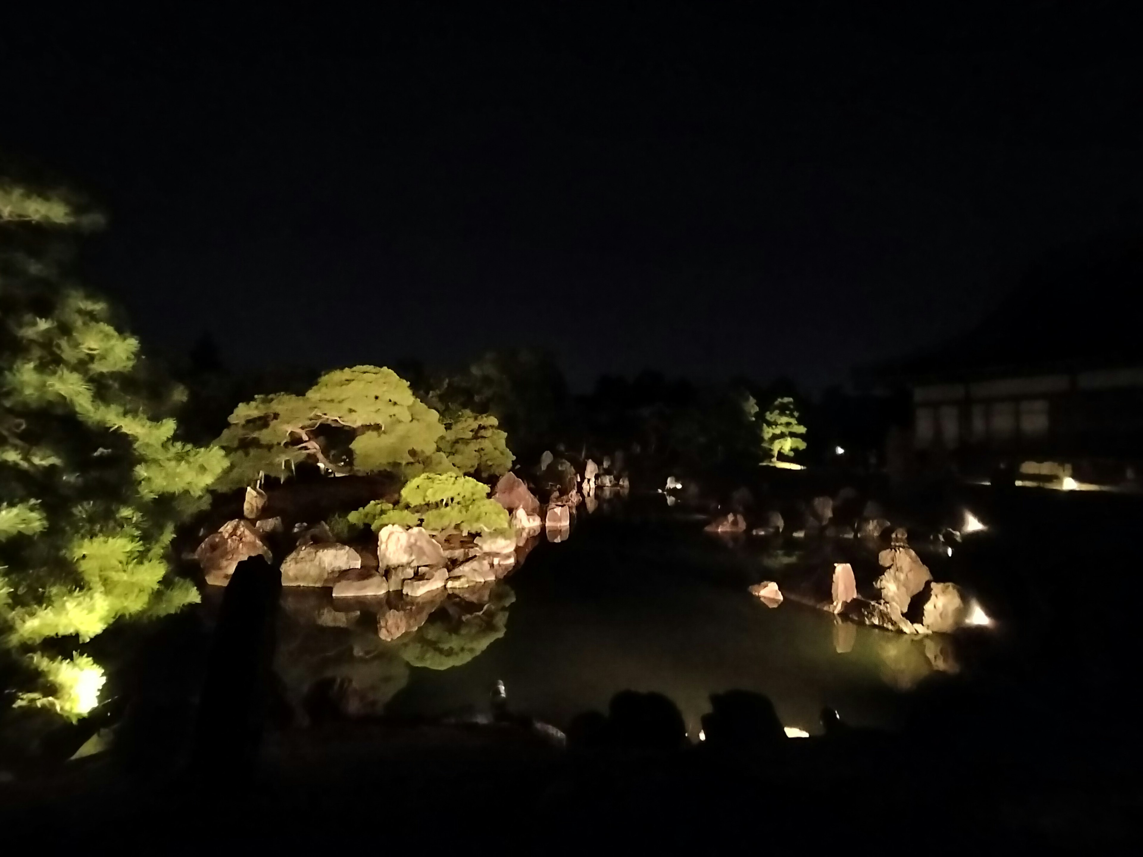 Vue nocturne d'un étang de jardin avec des pierres et des arbres illuminés