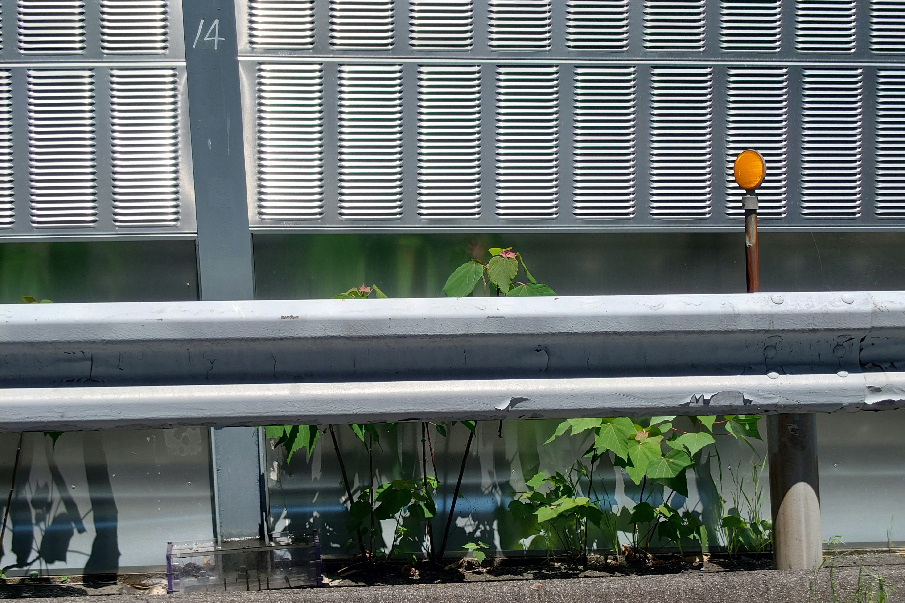 Garde-corps le long de la route avec des plantes et la façade d'un bâtiment