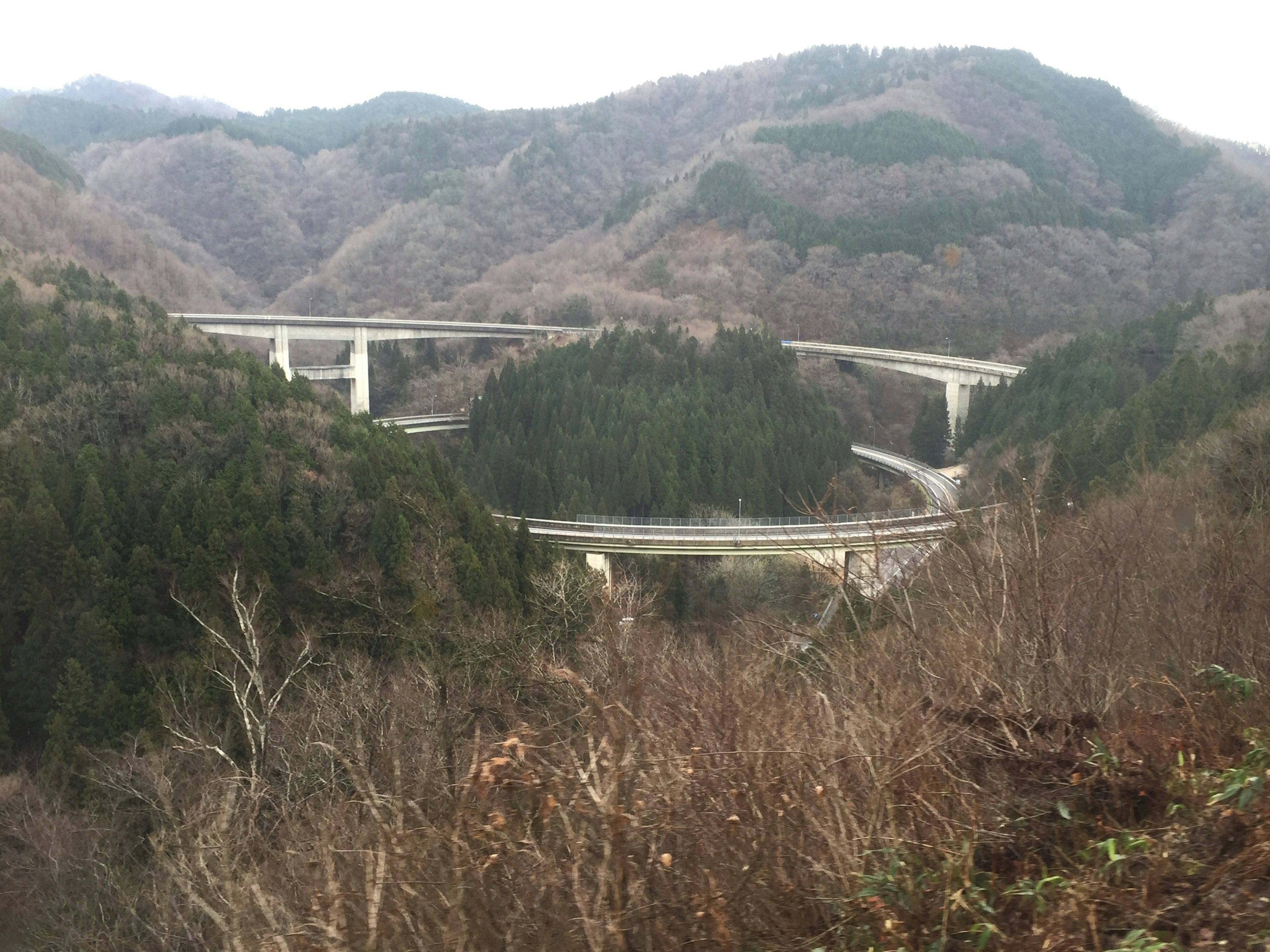 Múltiples puentes elevados que atraviesan un terreno montañoso con bosques verdes