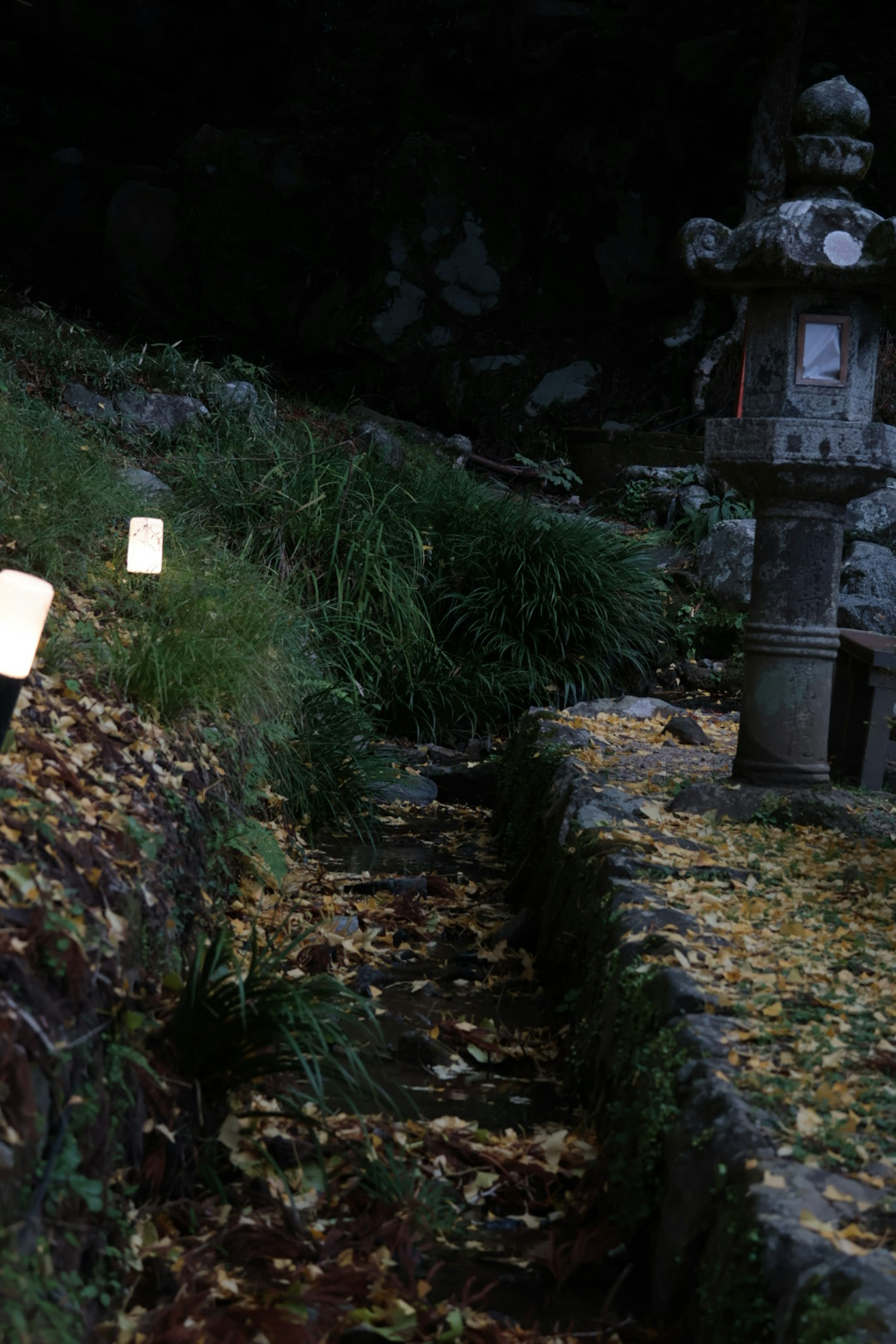 Dimly lit pathway featuring a stone lantern and overgrown grass