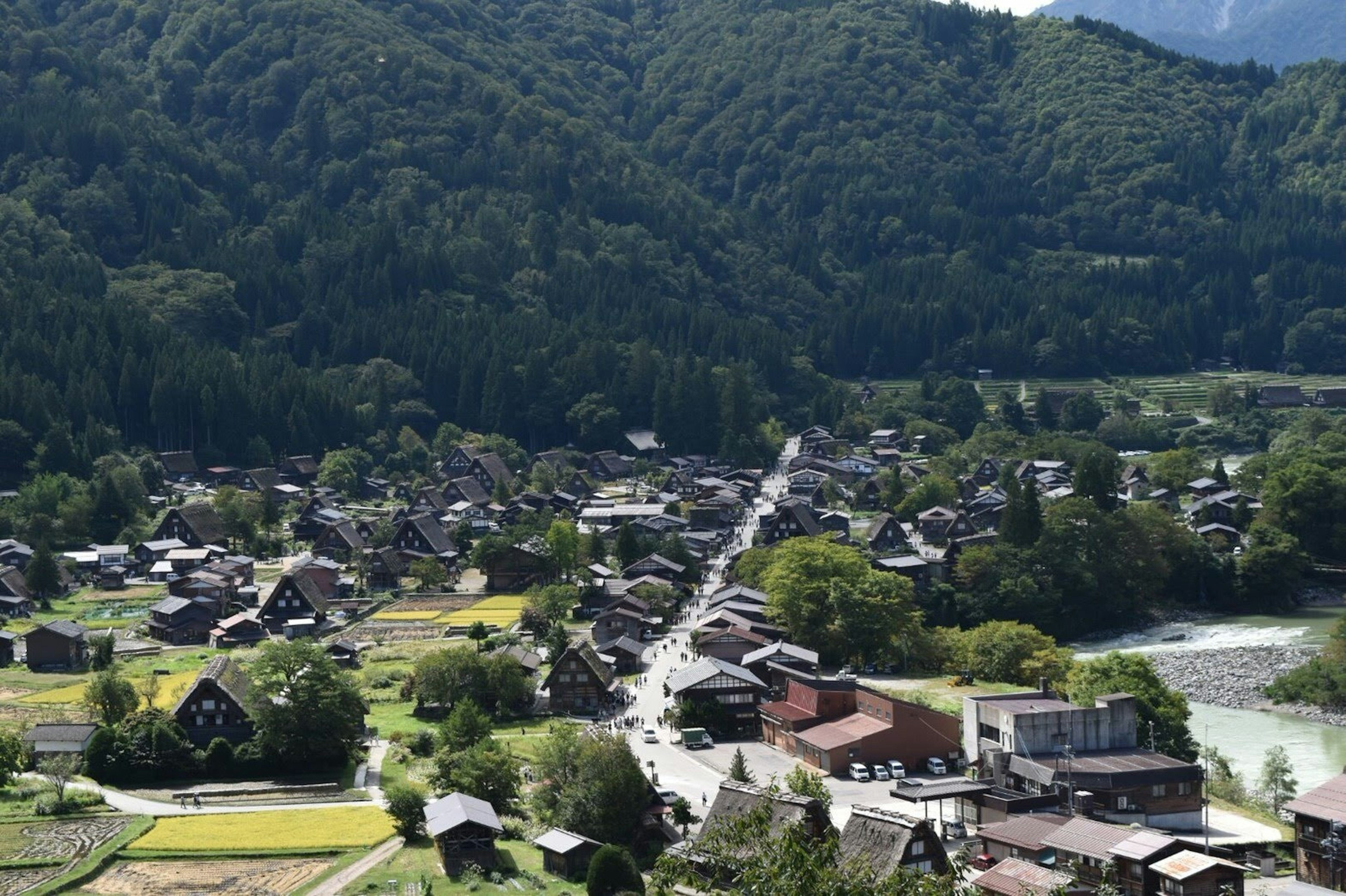 Scenic view of a village surrounded by mountains featuring green rice fields and traditional houses