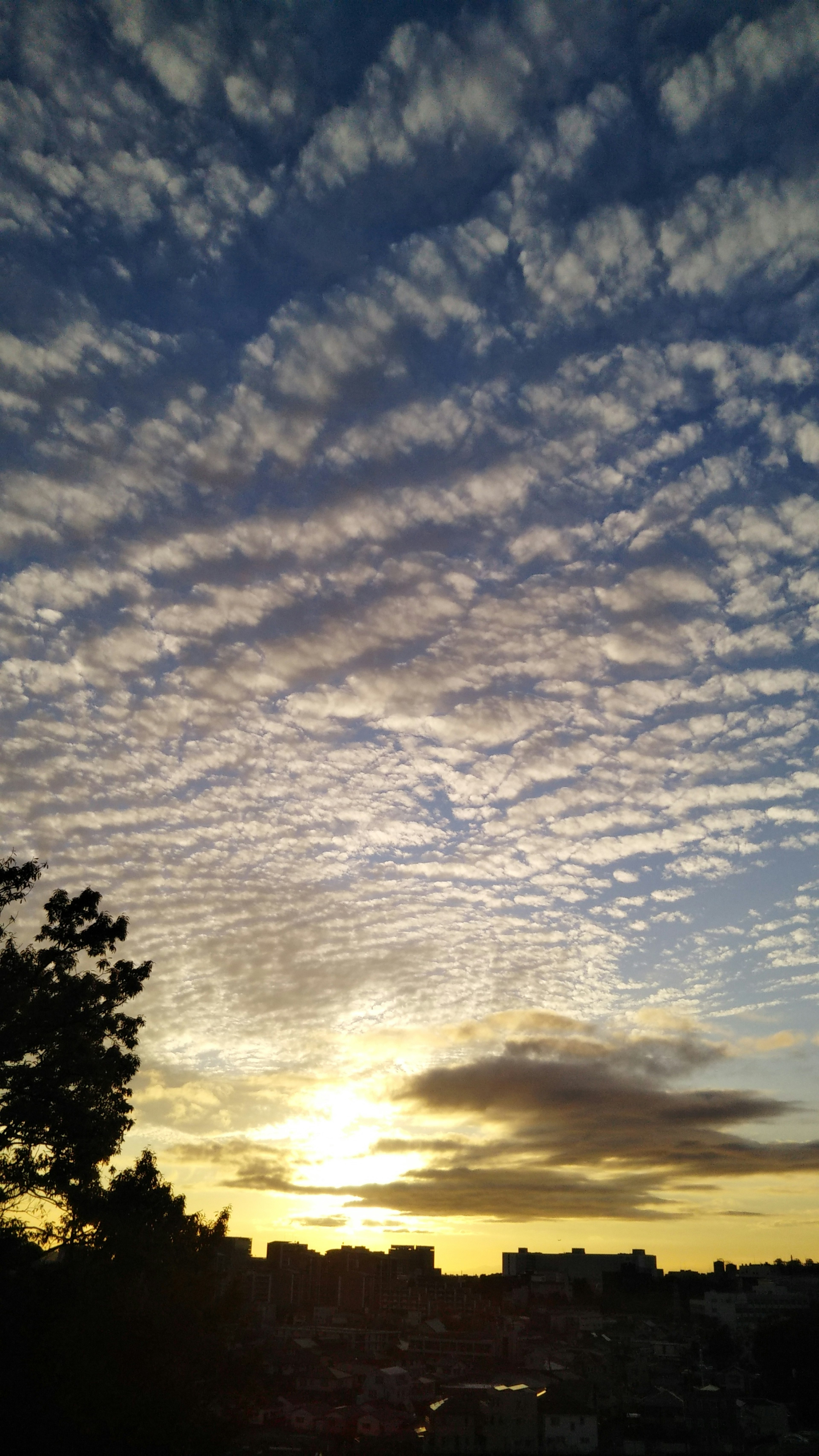 Cielo al tramonto con un bel schema di nuvole