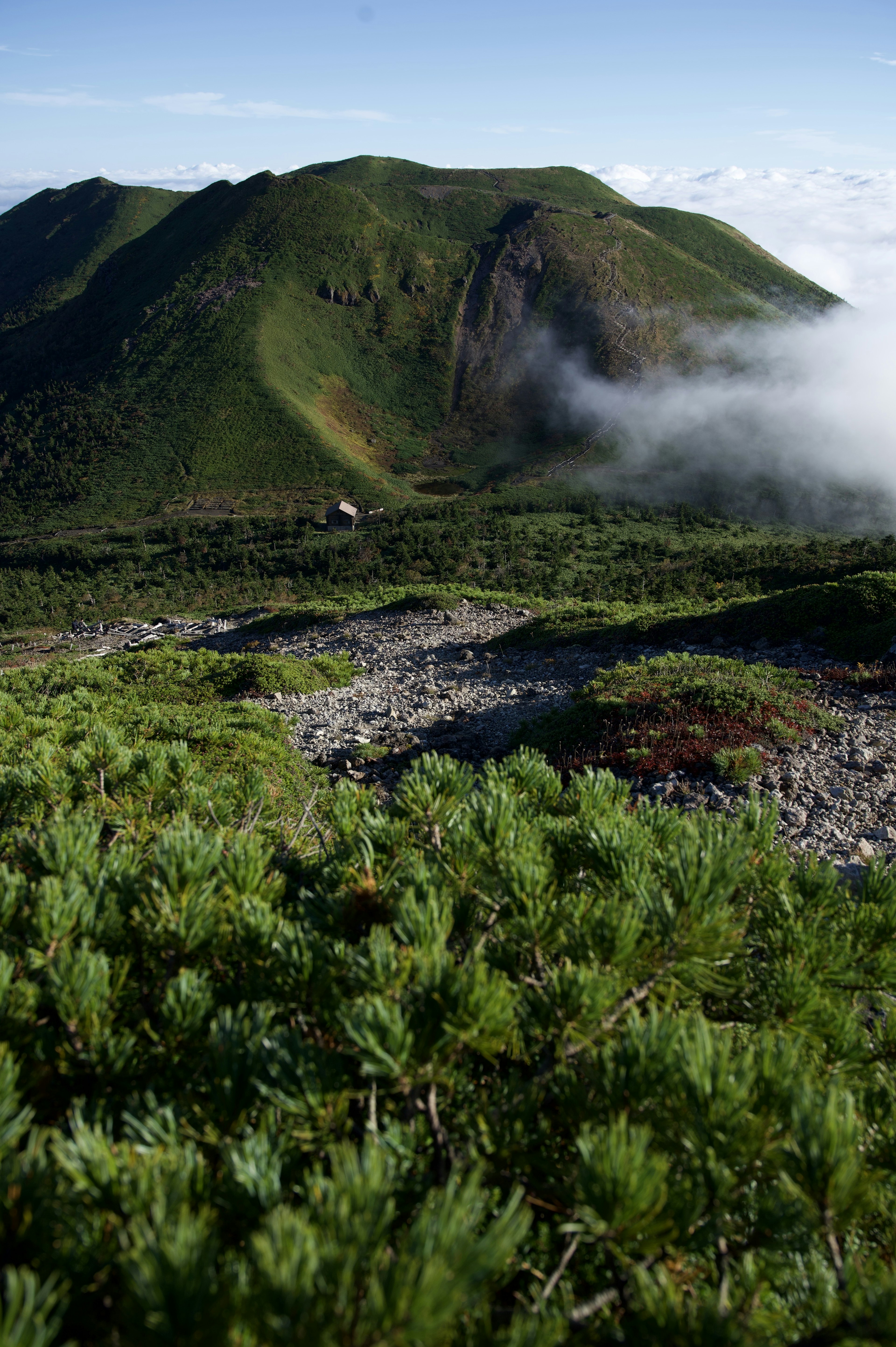 緑豊かな山の風景と雲の間から見える山の頂