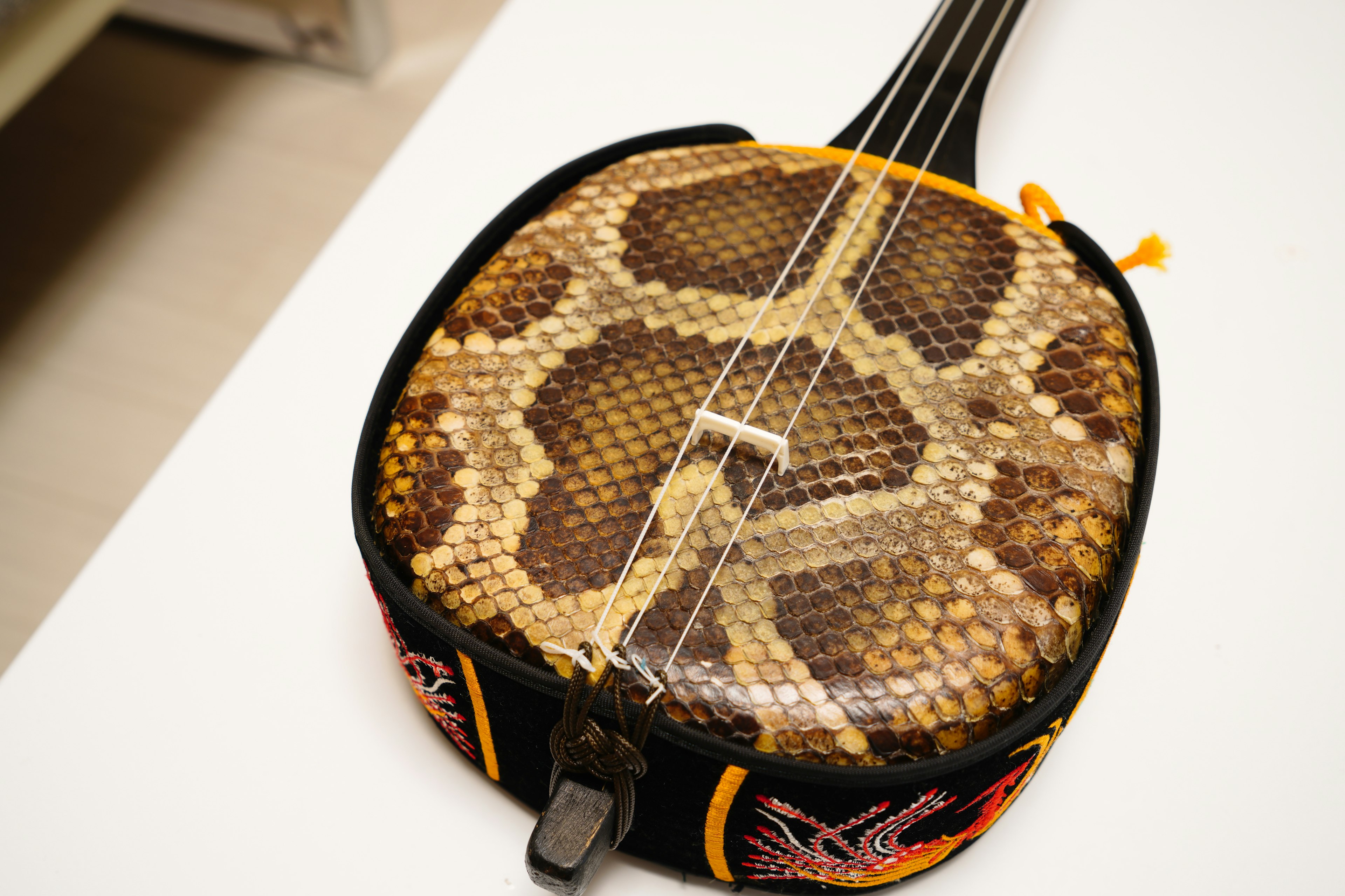 Unique instrument case covered in snake skin