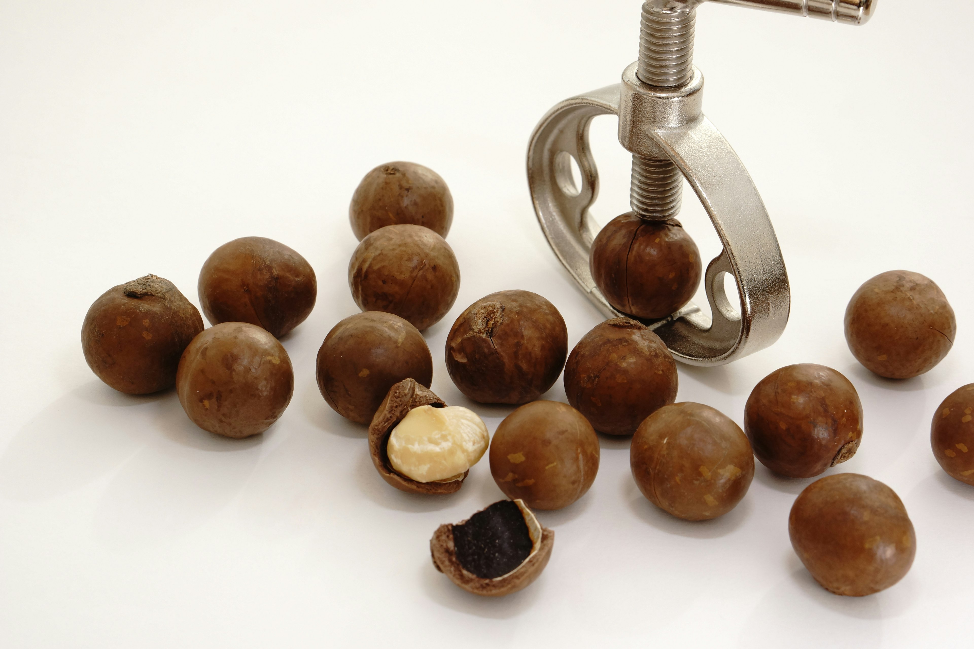 Image de noix de macadamia avec des coques certaines noix sont fissurées révélant la noix intérieure