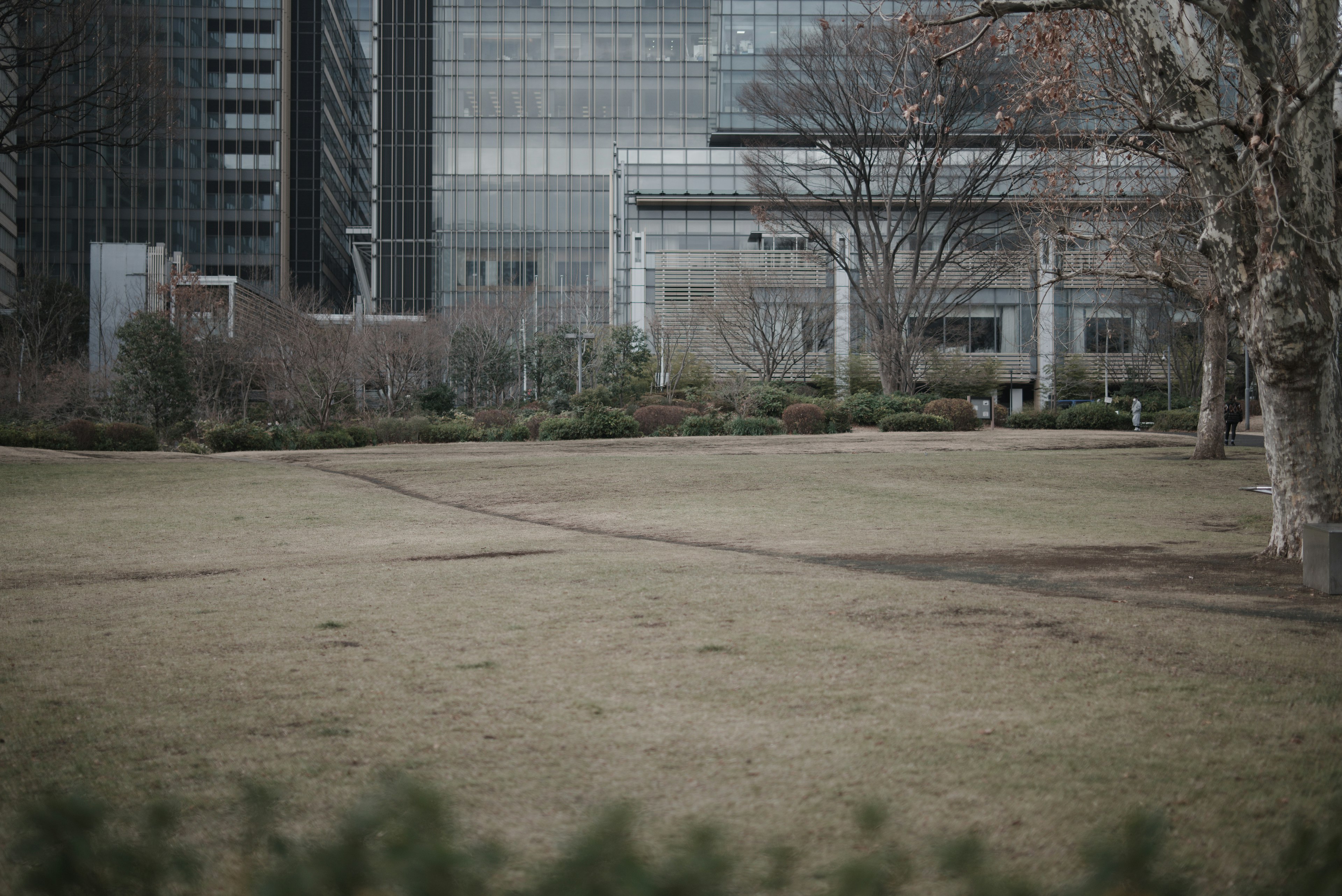 公園草地與摩天大樓背景