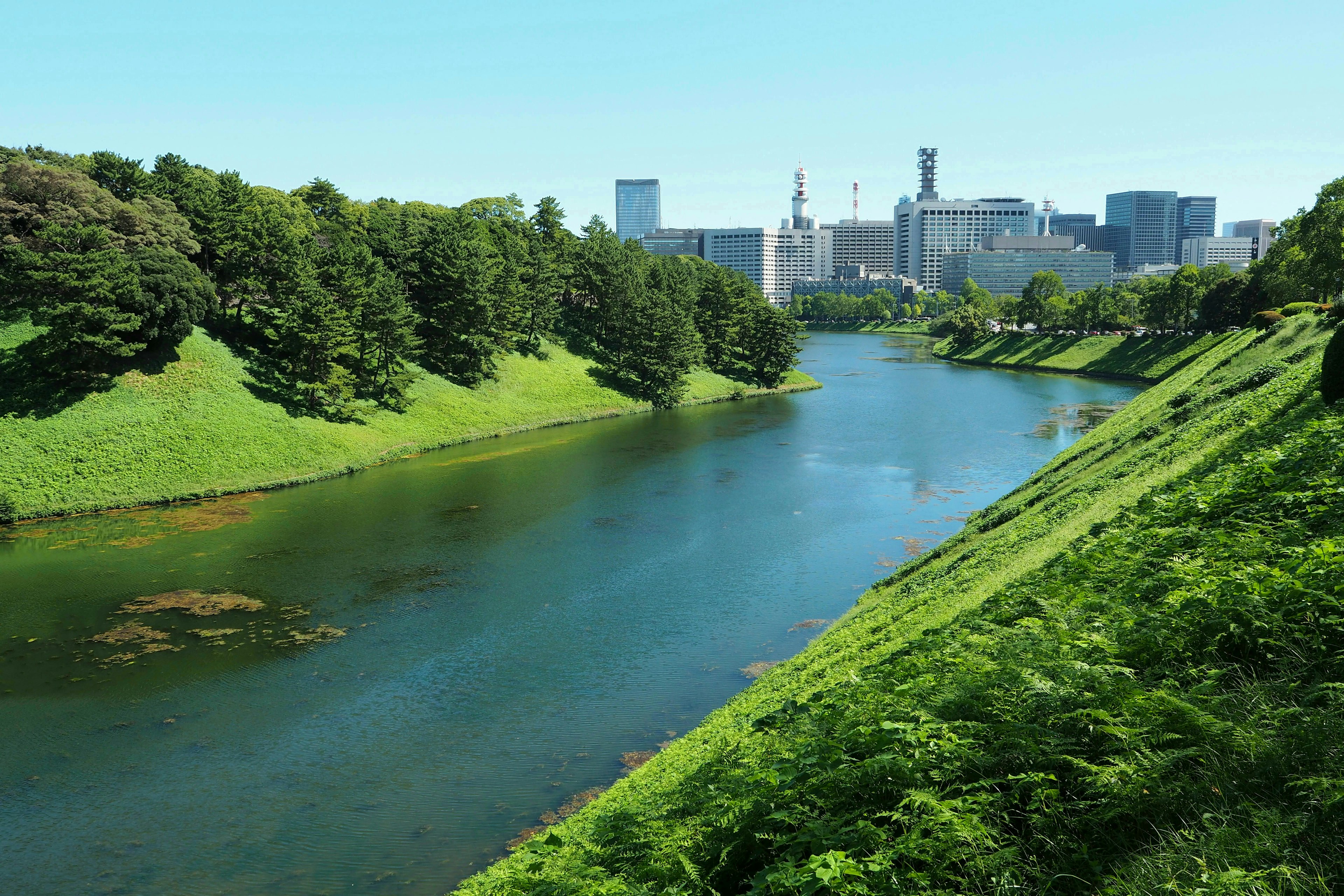 Lush green hills and city skyline visible in the landscape