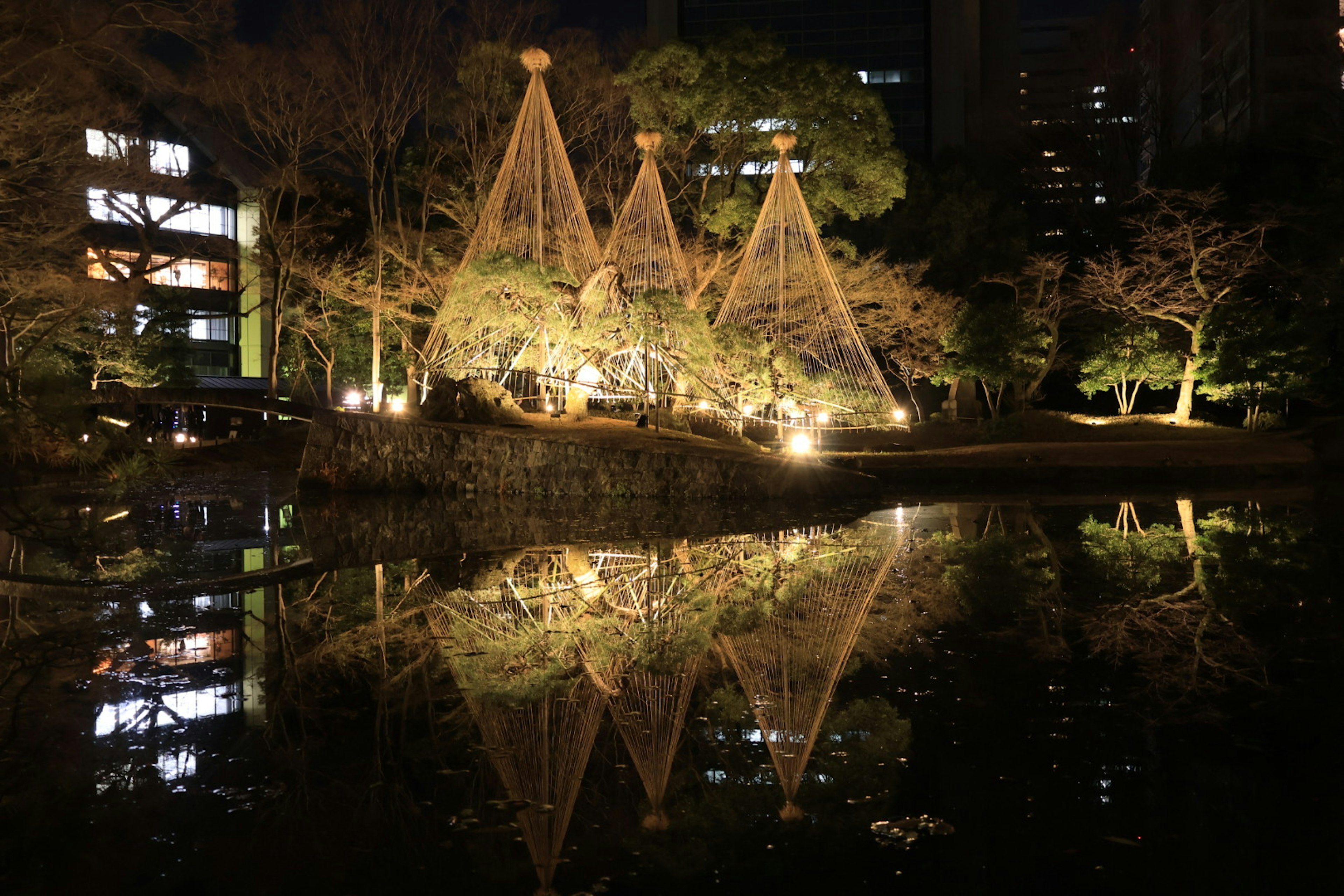 Beleuchtete Kiefern in einem Park bei Nacht mit Reflexionen