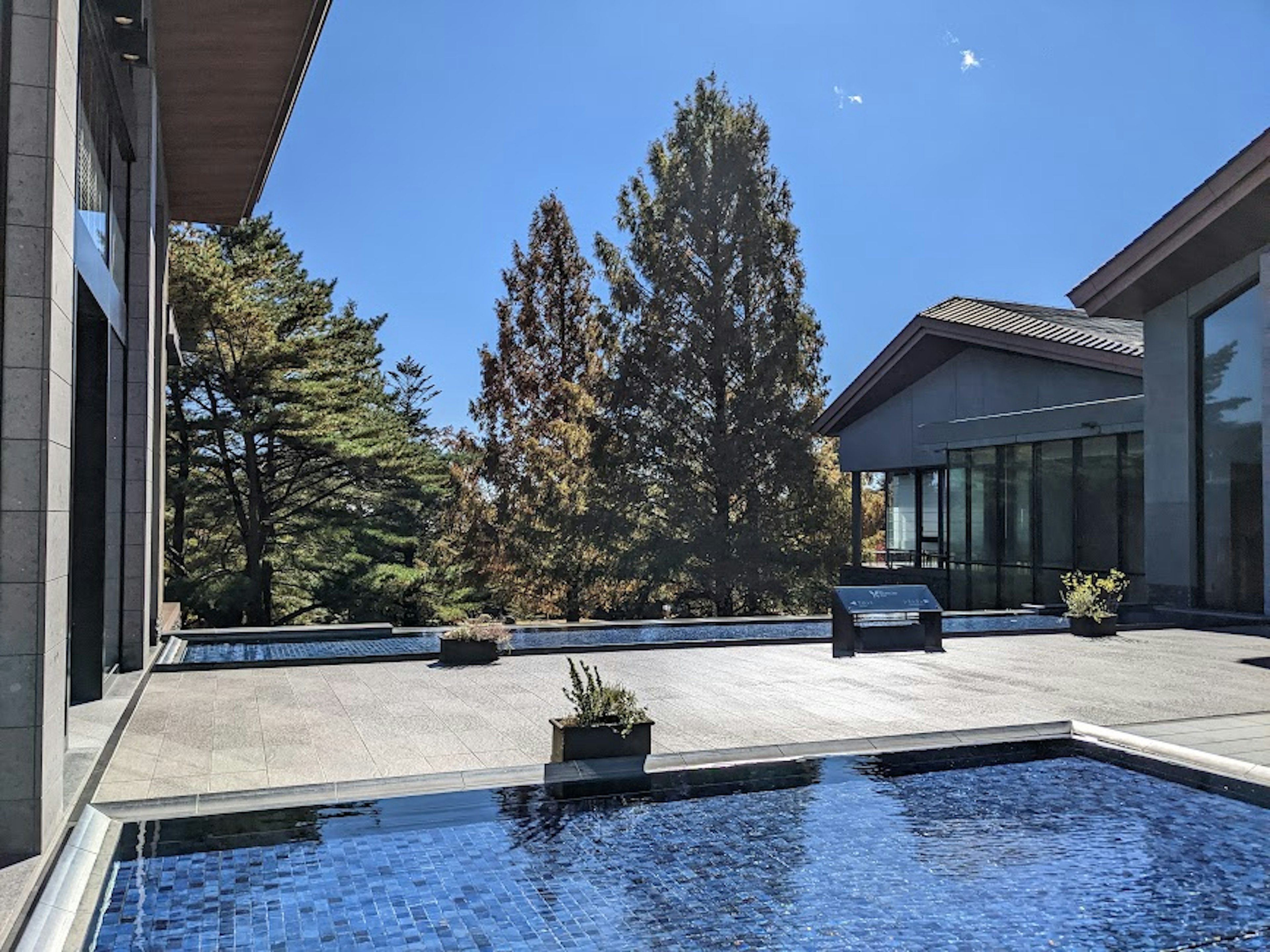 Terrasse moderne avec piscine et arbres en arrière-plan