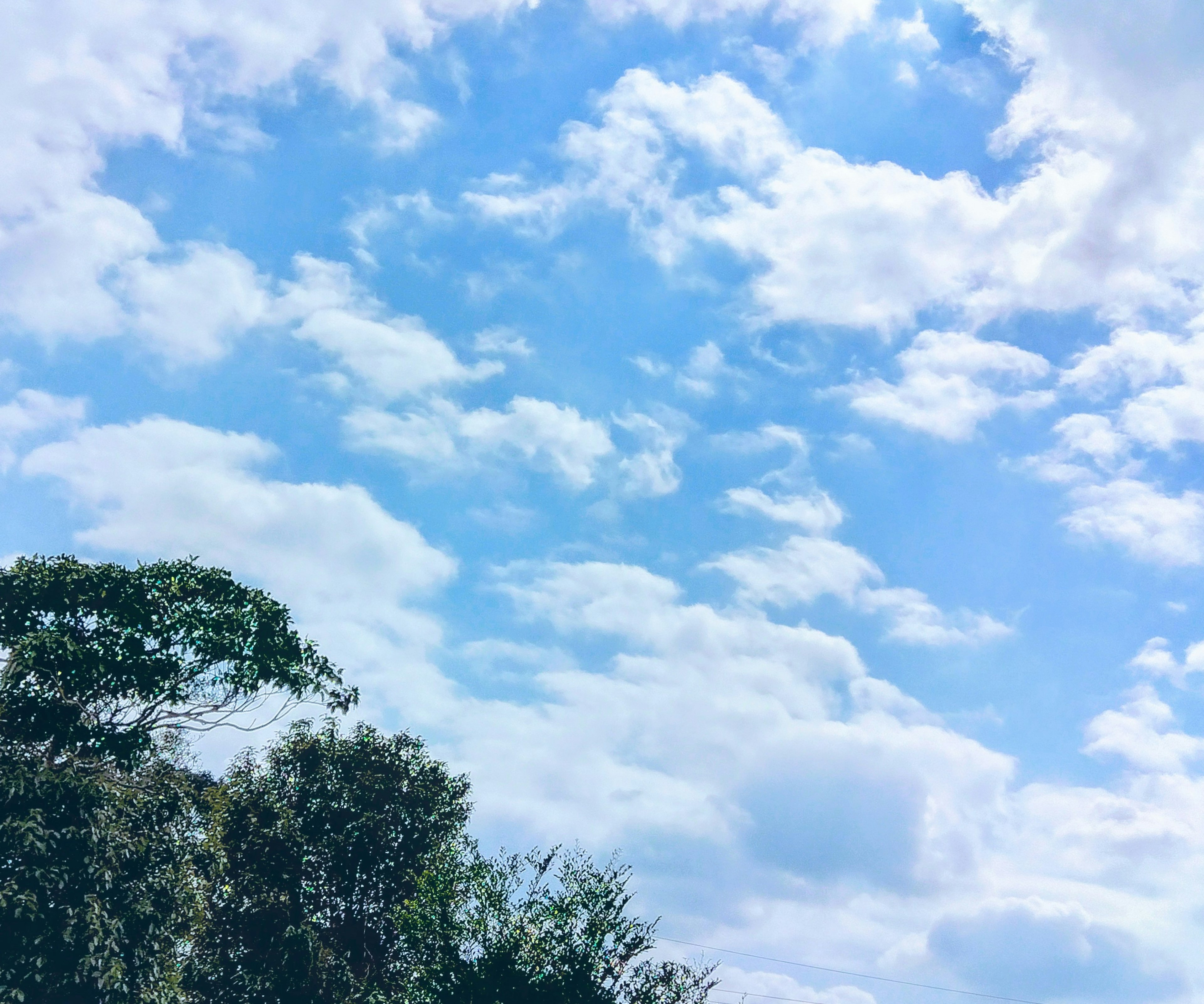 Pemandangan dengan langit biru dan awan putih serta pohon hijau di bawah