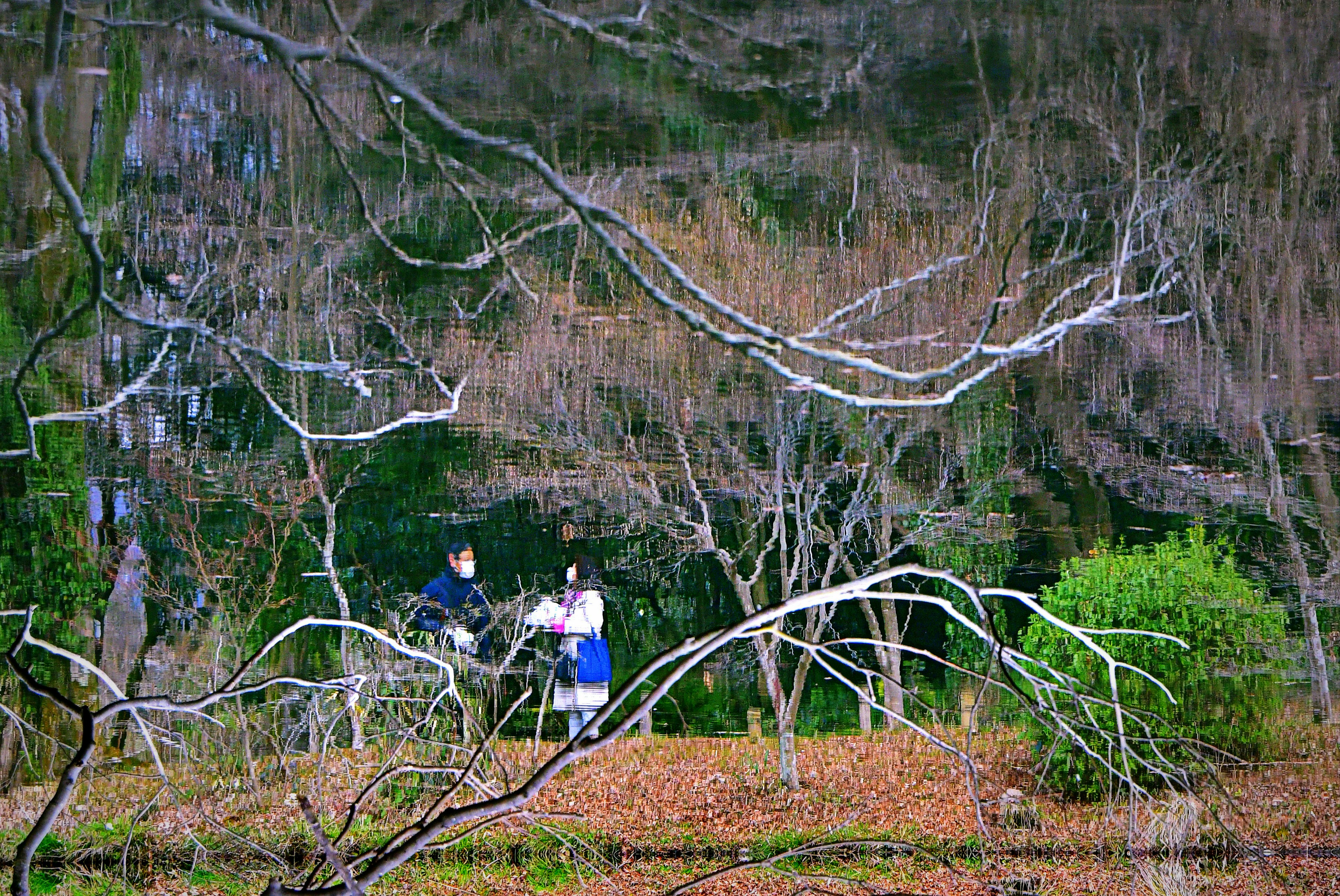 木々の間に立つ二人の人が映る風景