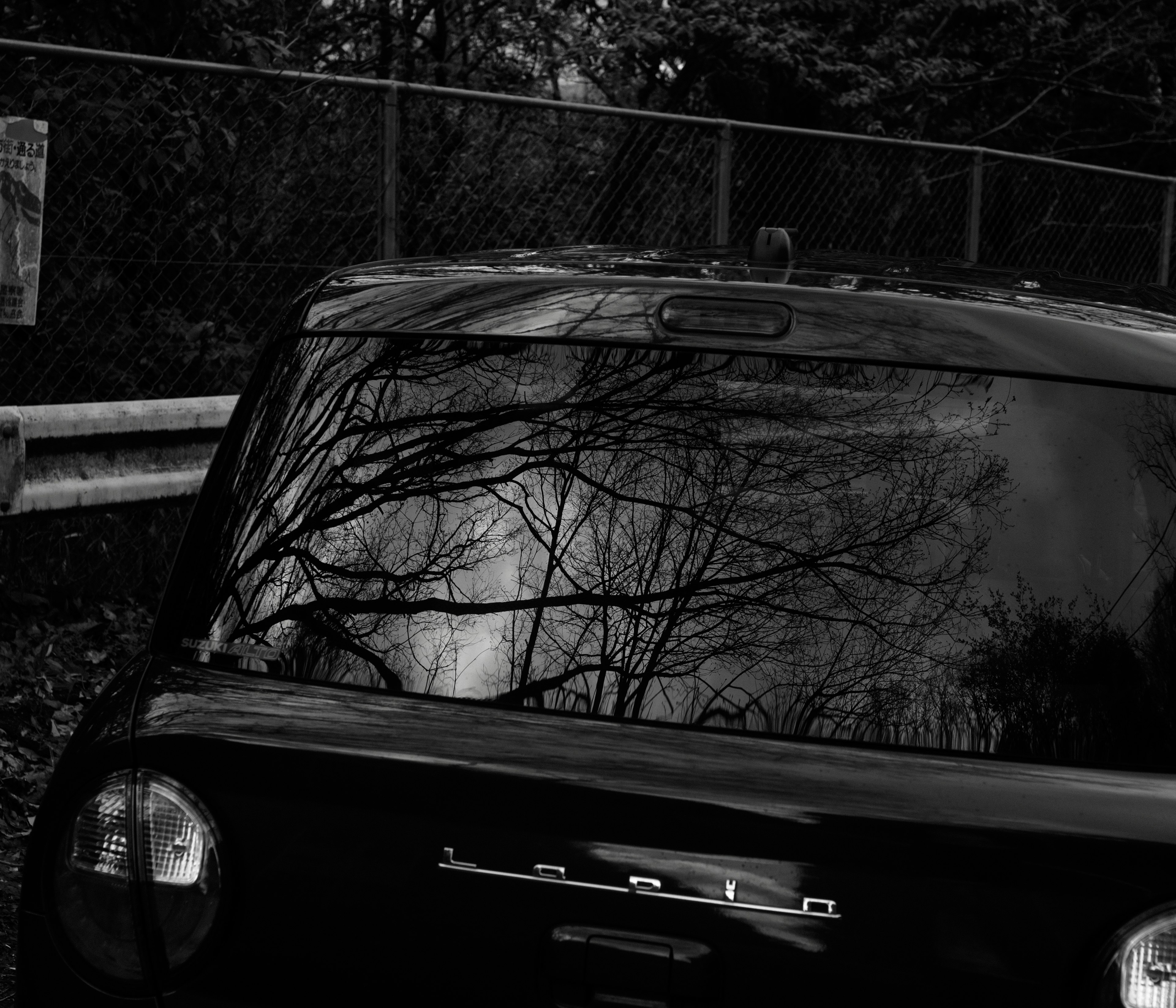 Rear view of a black car reflecting trees in a dark setting