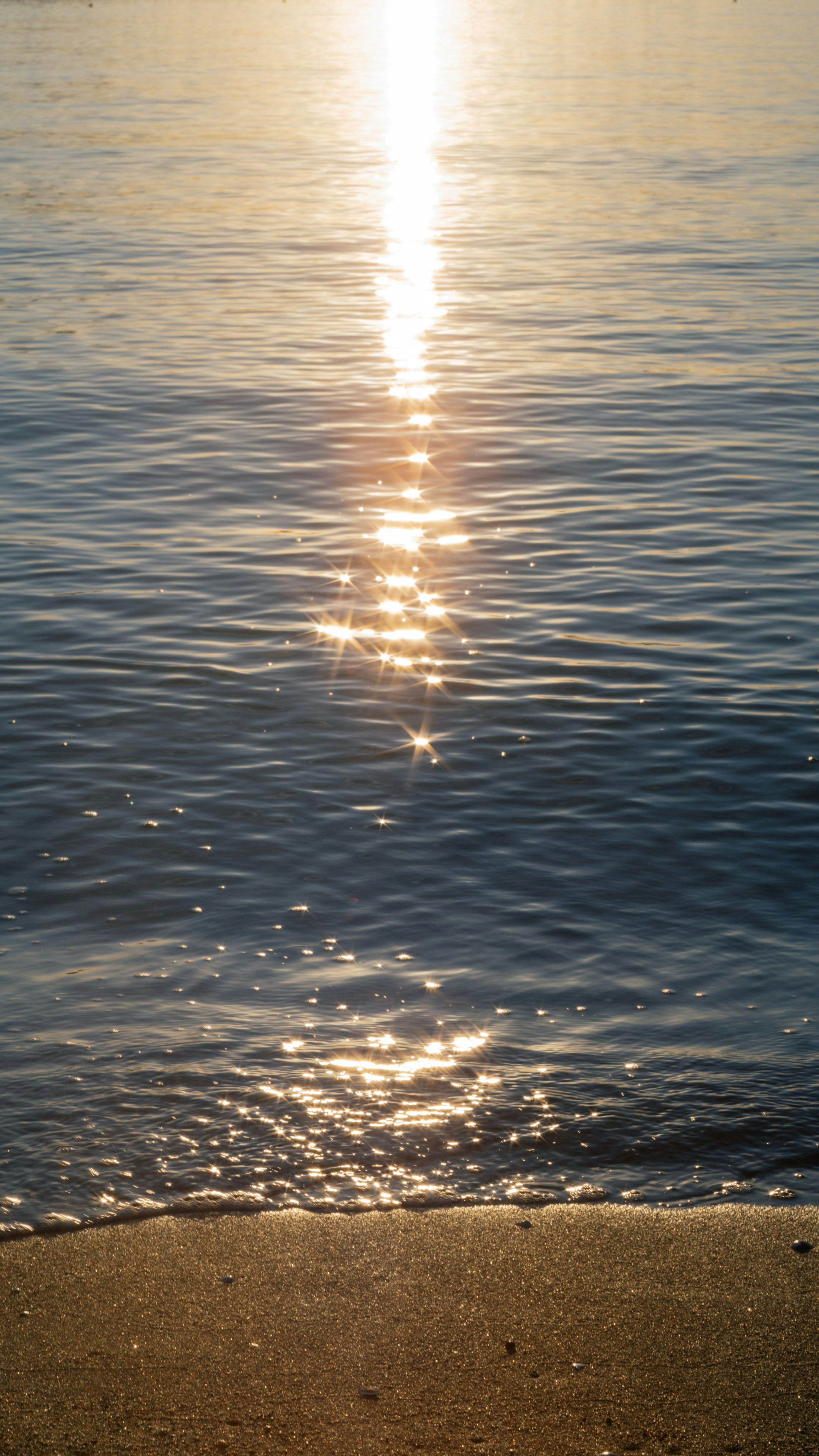 穏やかな海の表面に反射する太陽の光と砂浜の境界