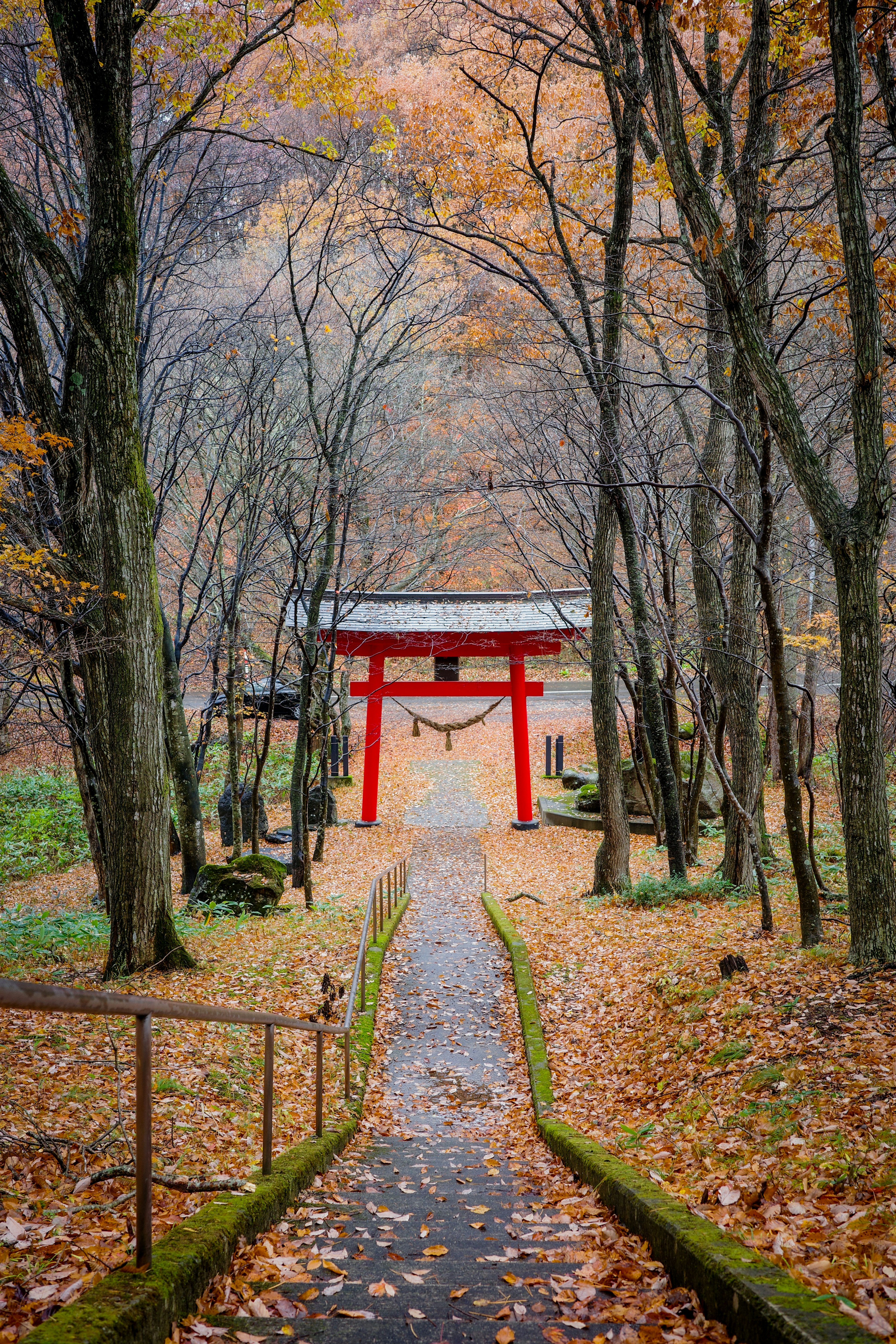 赤い鳥居と秋の木々の間の小道