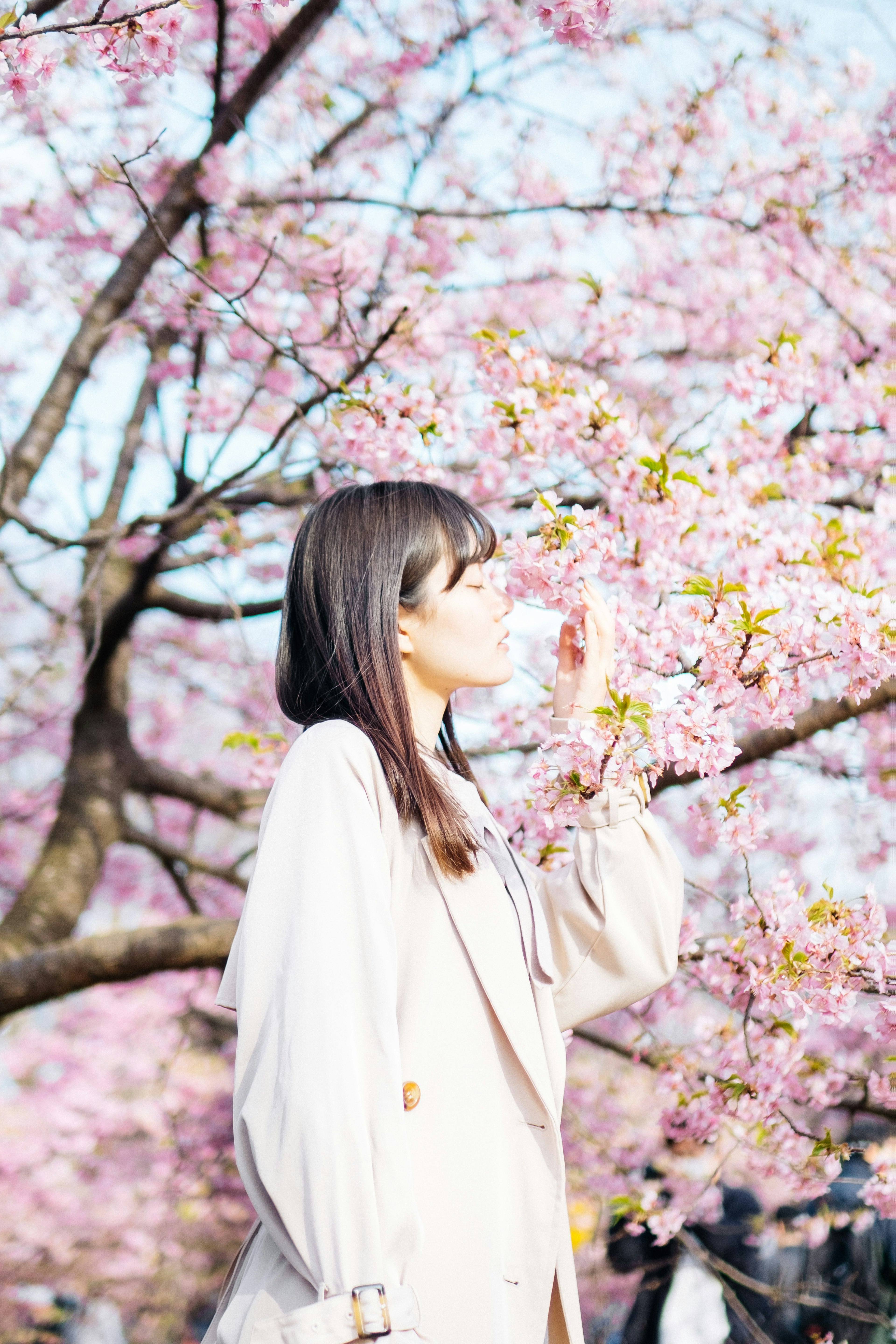 Mujer sonriendo frente a cerezos en flor fondo rosa suave sensación de primavera