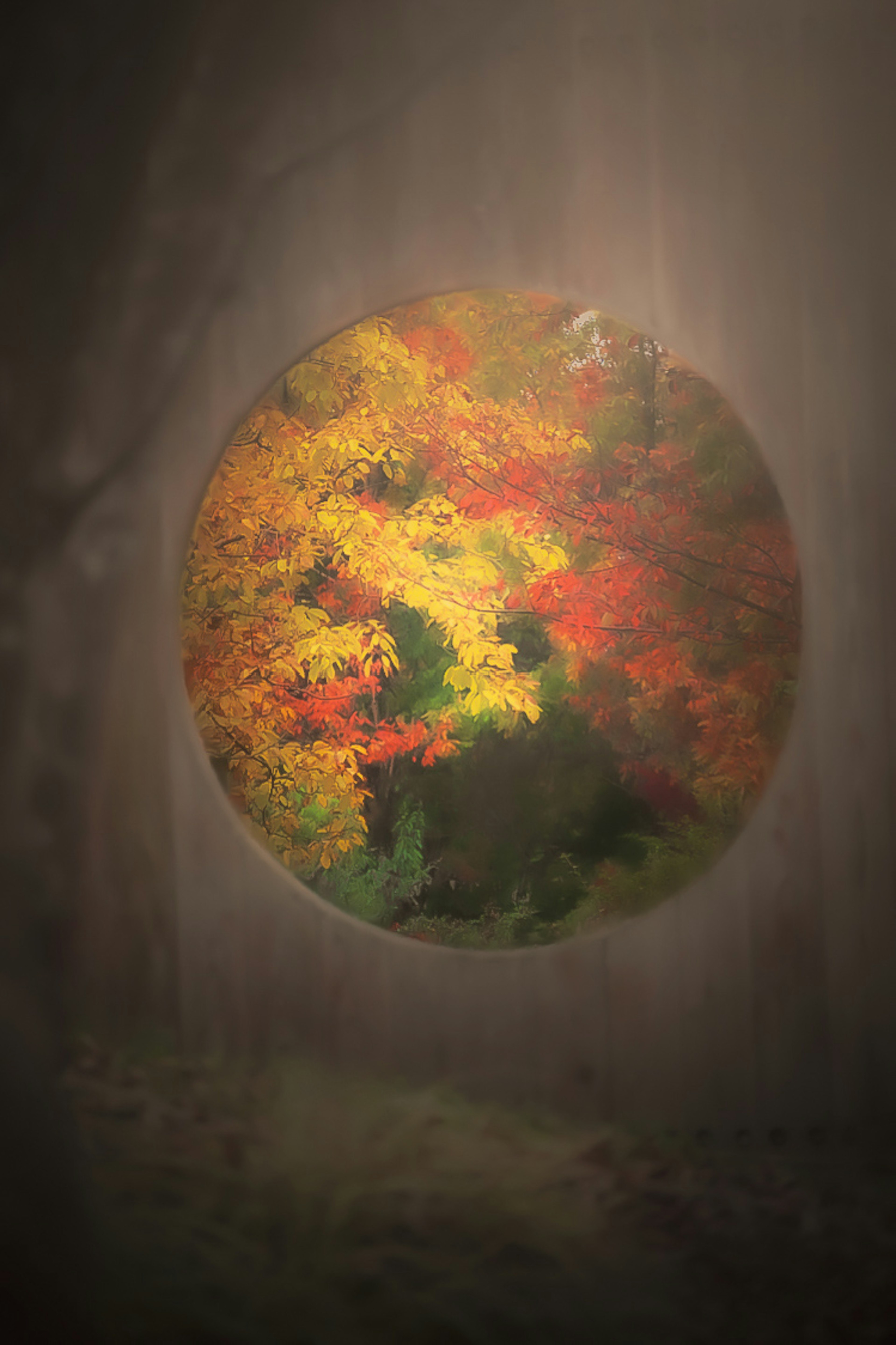 Scenic view of autumn foliage through a circular window