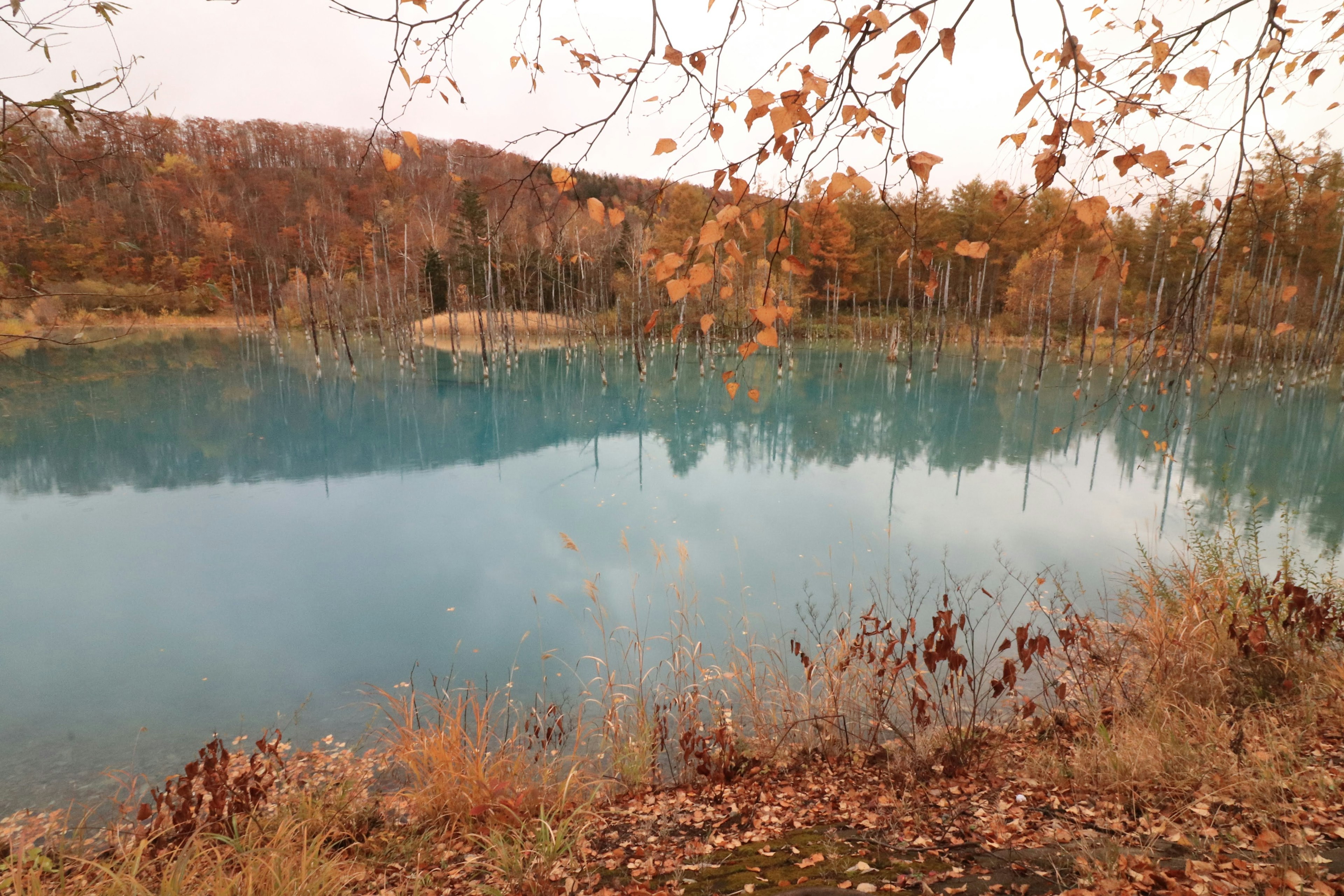 秋天树叶环绕的蓝色湖泊风景