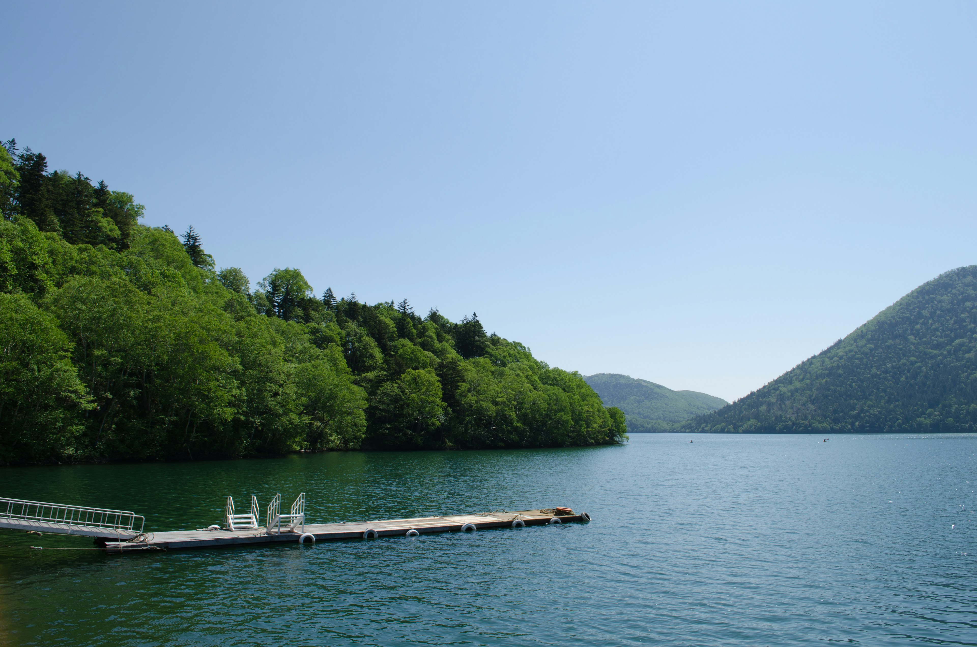 Lago sereno circondato da alberi verdi lussureggianti e colline