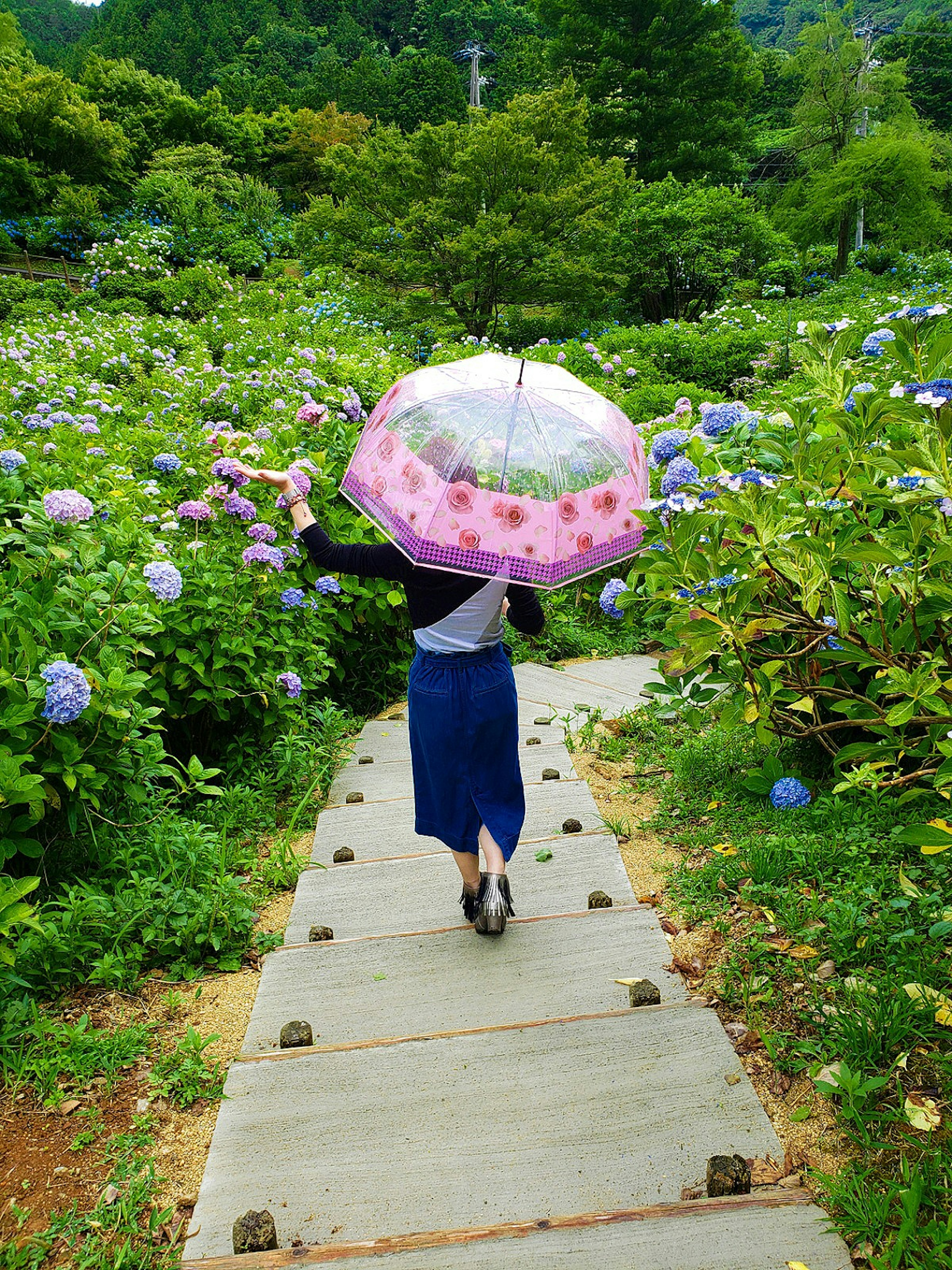 Mujer caminando por un camino rodeado de flores de hortensia sosteniendo un paraguas rosa