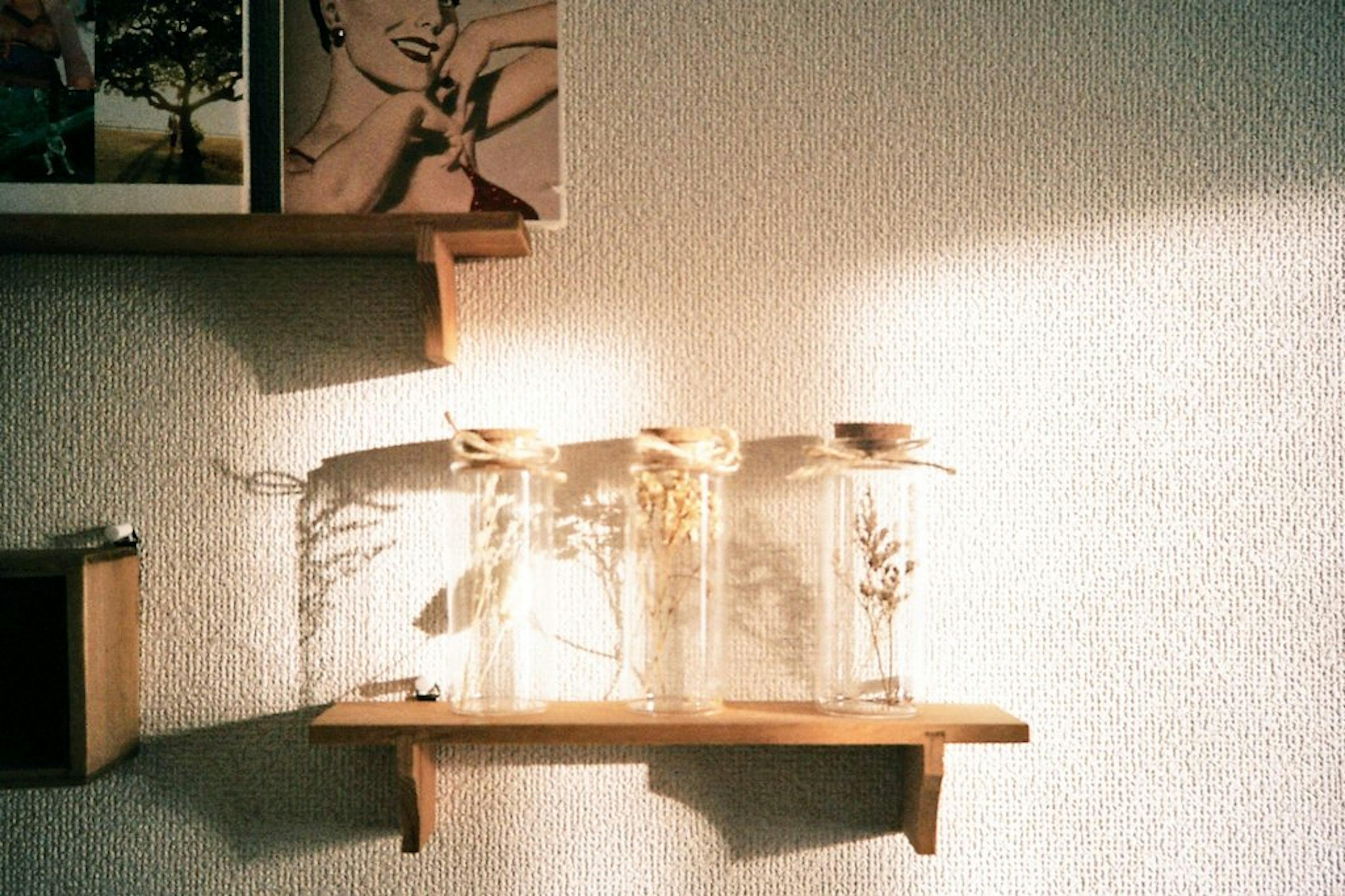 Tarros transparentes con flores secas en una estantería de madera proyectando sombras