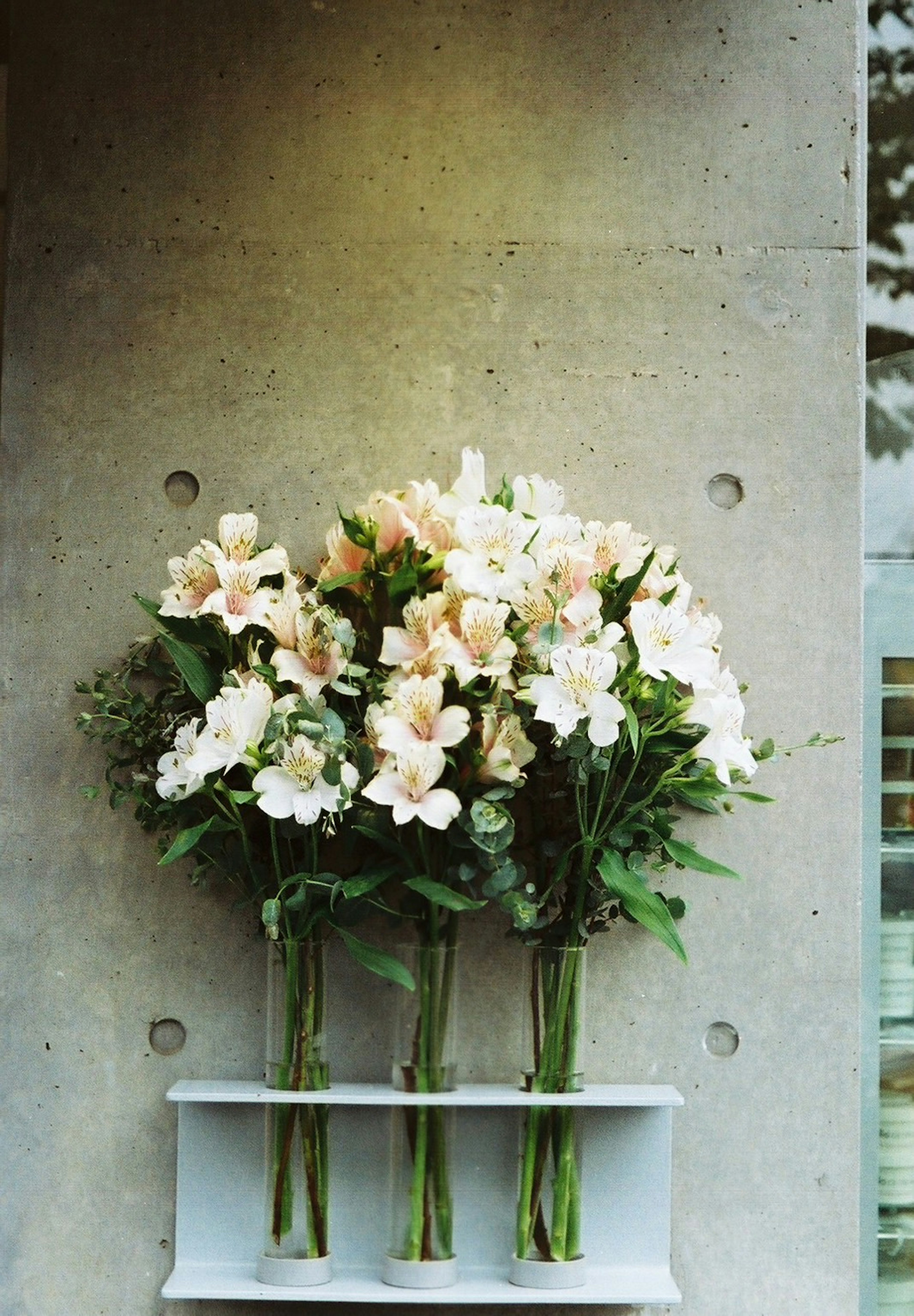 A display of white flower bouquets mounted on a concrete wall