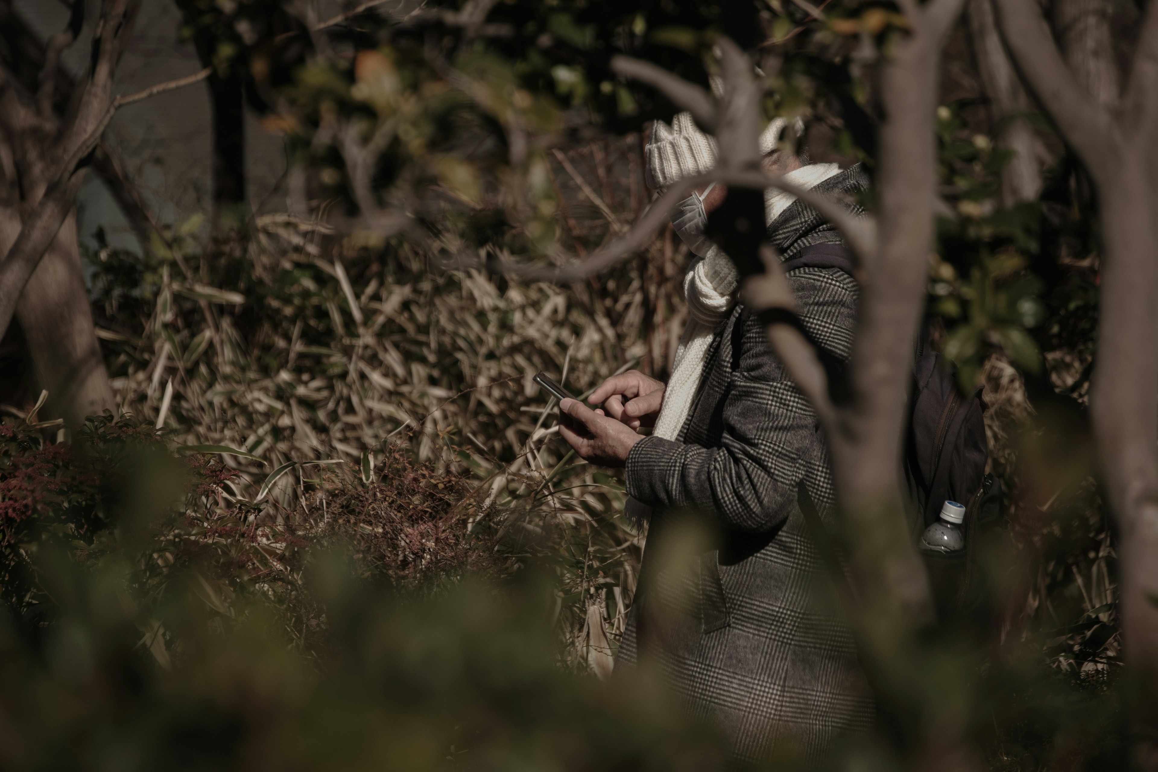 Une personne utilisant un smartphone parmi les arbres et le feuillage