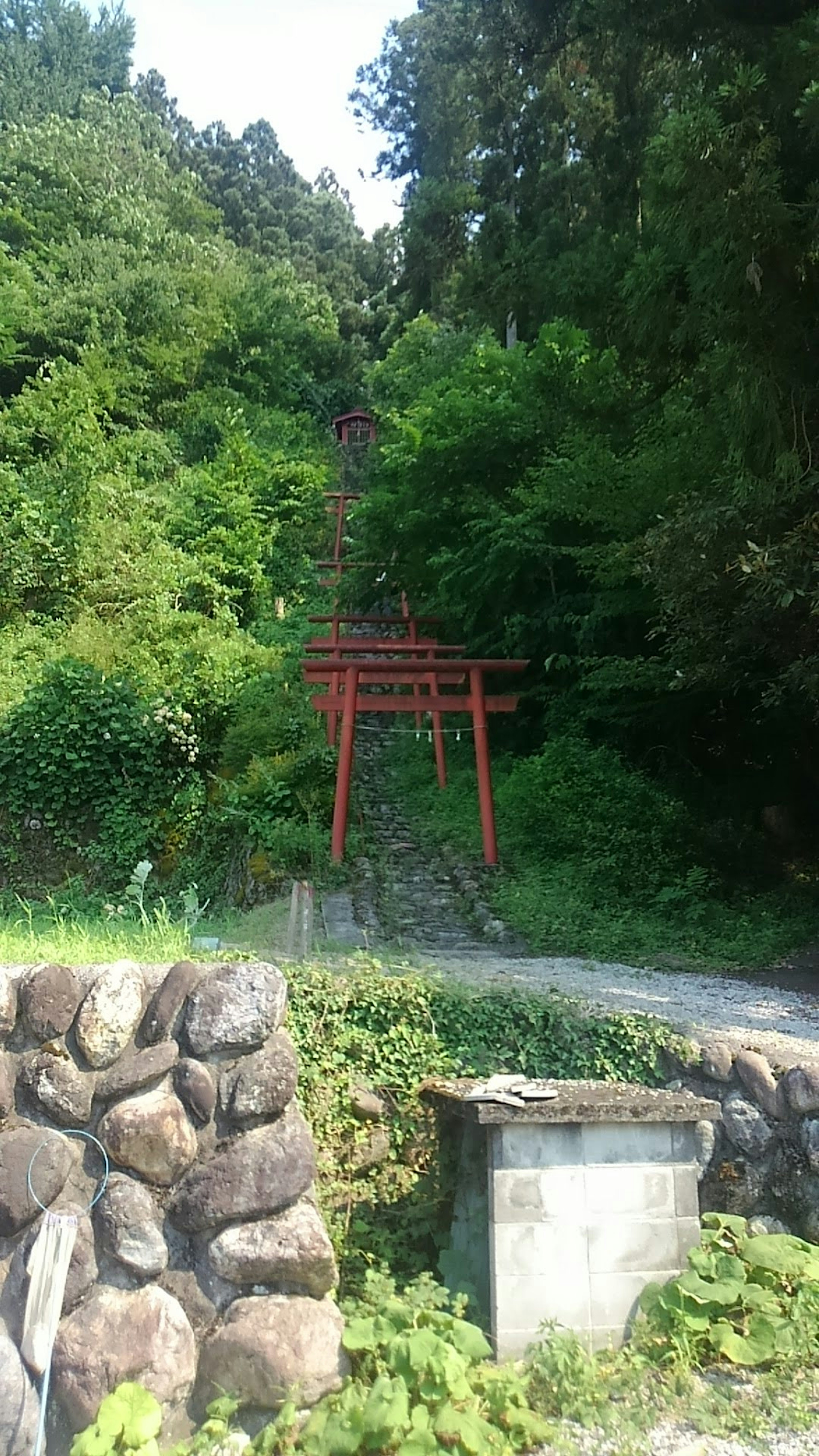 緑豊かな山道に赤い鳥居が見える風景