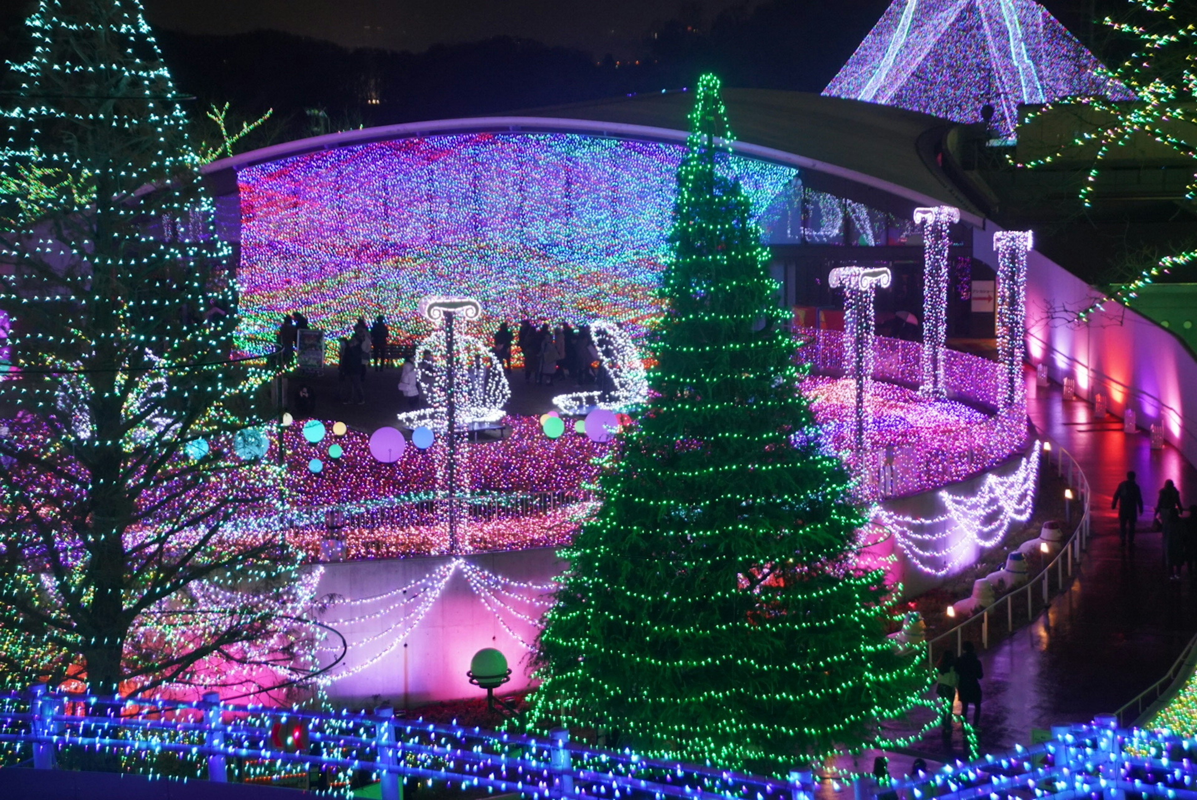 美しい光で飾られたクリスマスツリーと色とりどりのイルミネーションが施された公園の夜景