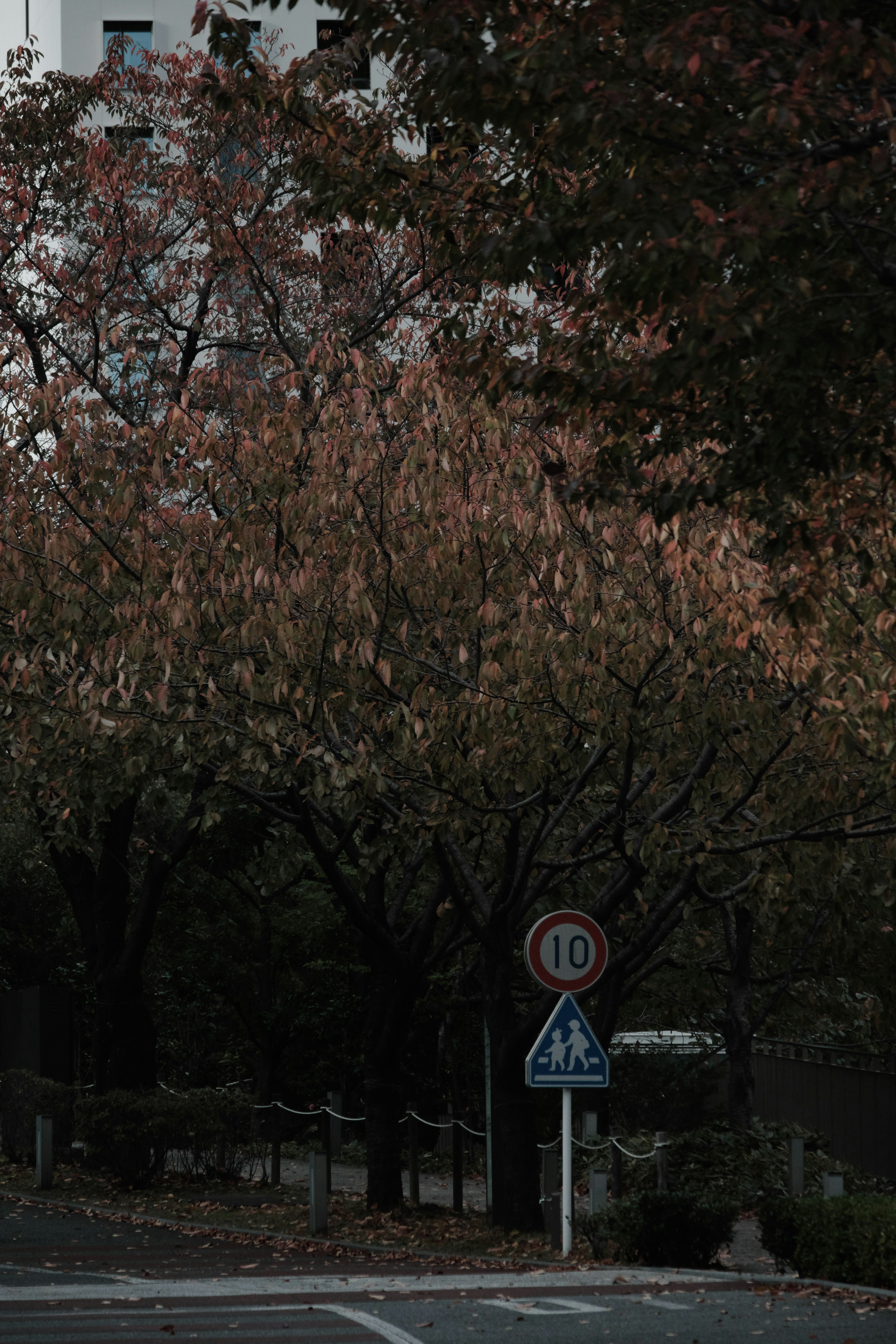 Scène d'automne avec des arbres et des panneaux de signalisation à un coin de rue