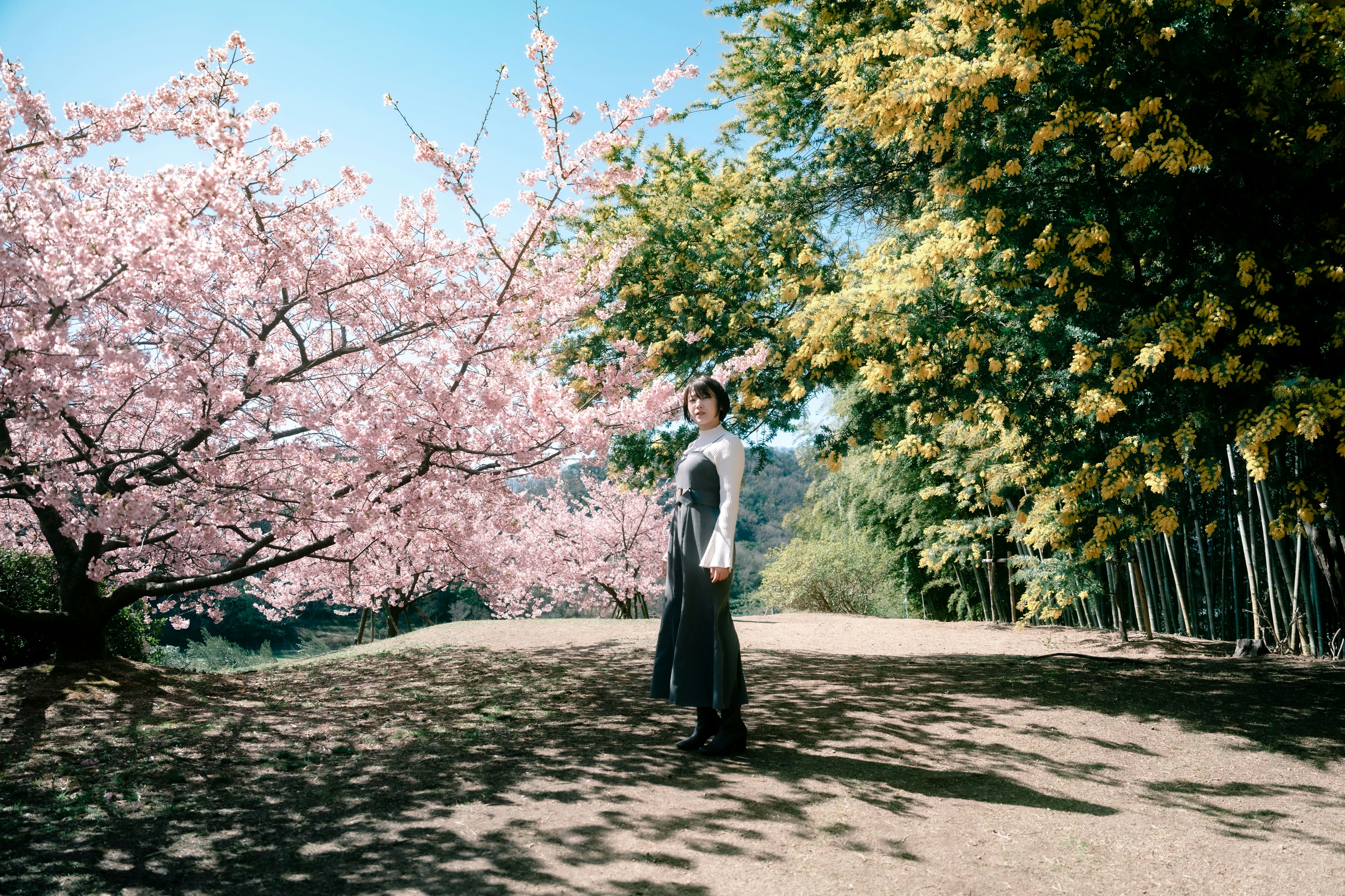 Seorang wanita berdiri di bawah pohon sakura dengan langit biru