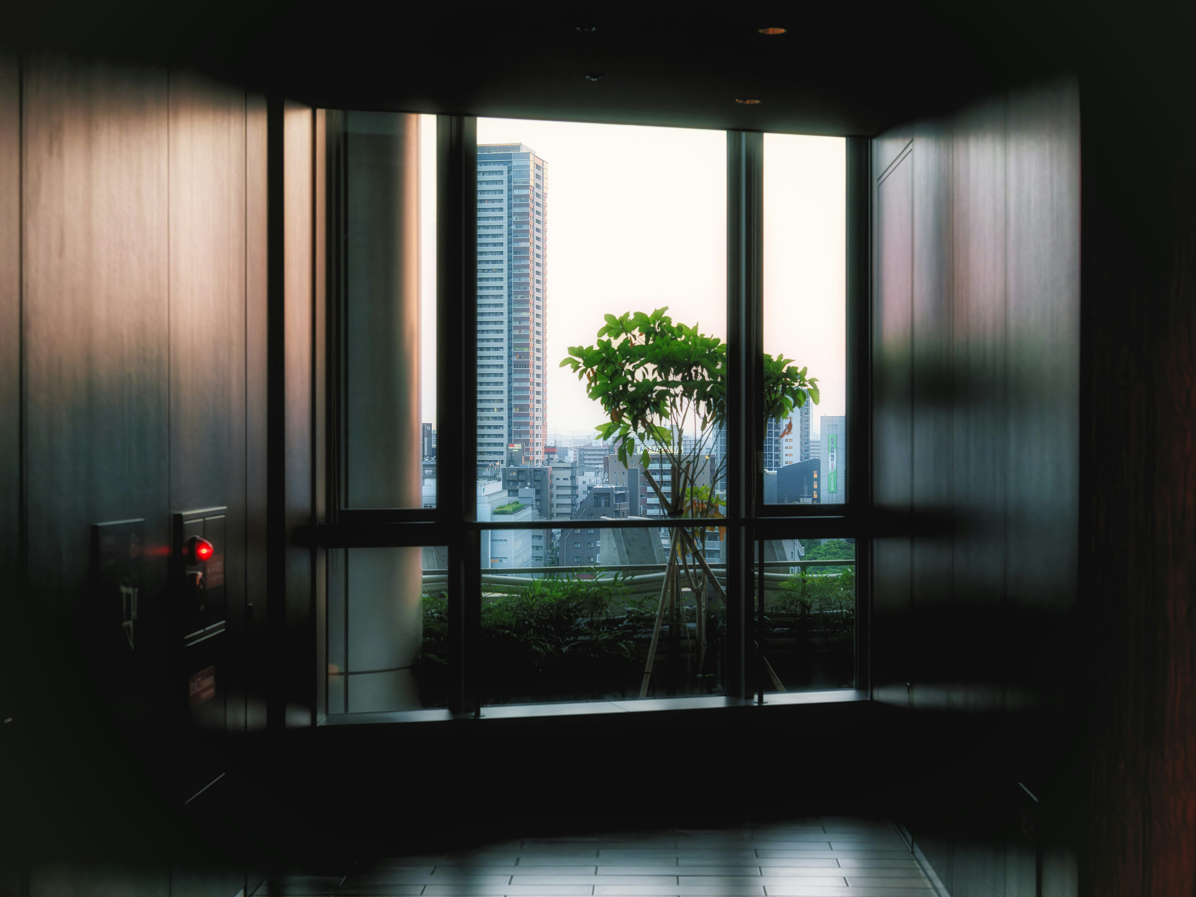 Vista de una planta verde y el horizonte de la ciudad a través de una gran ventana