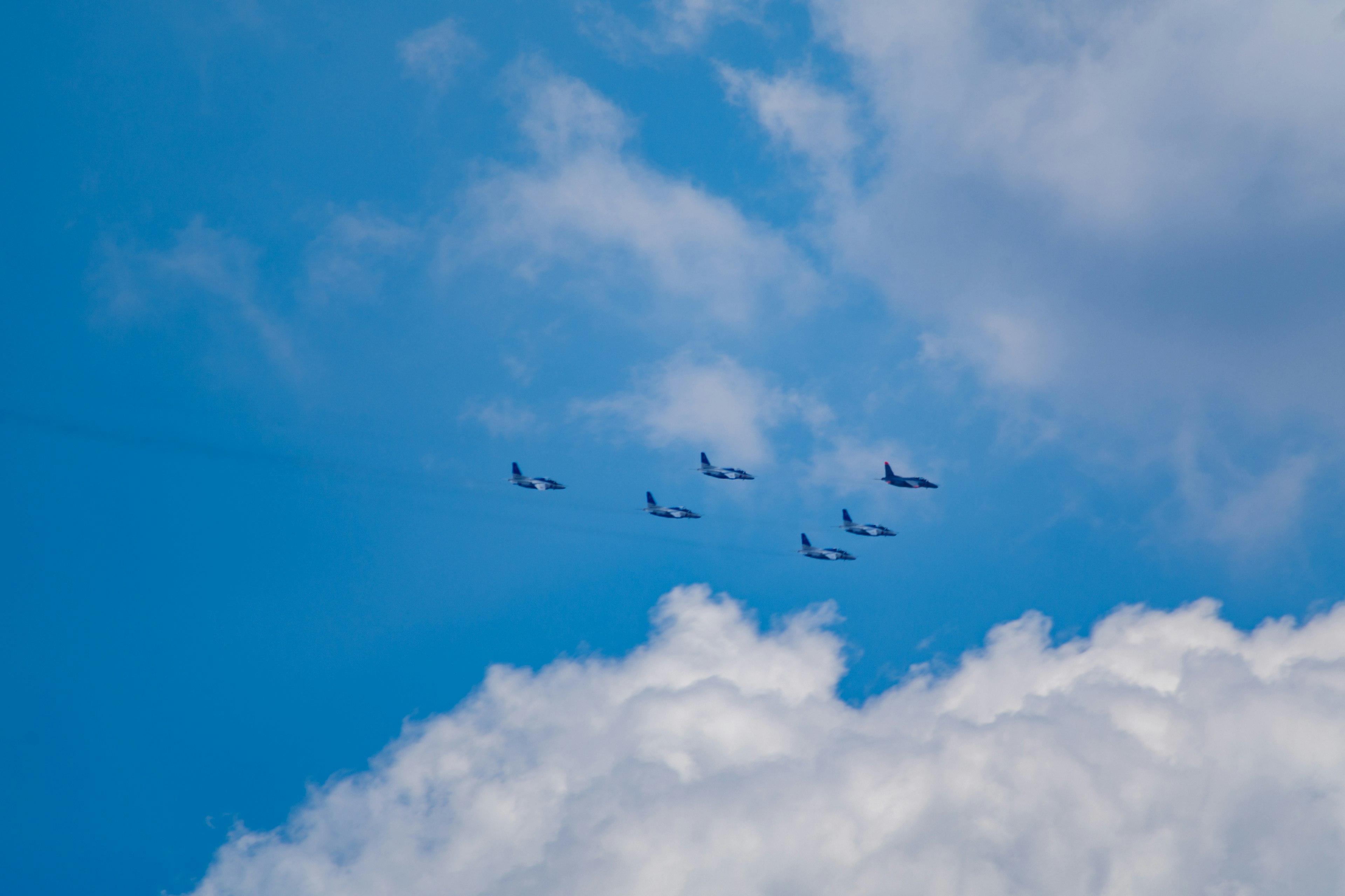 Flock of birds flying in a blue sky with white clouds