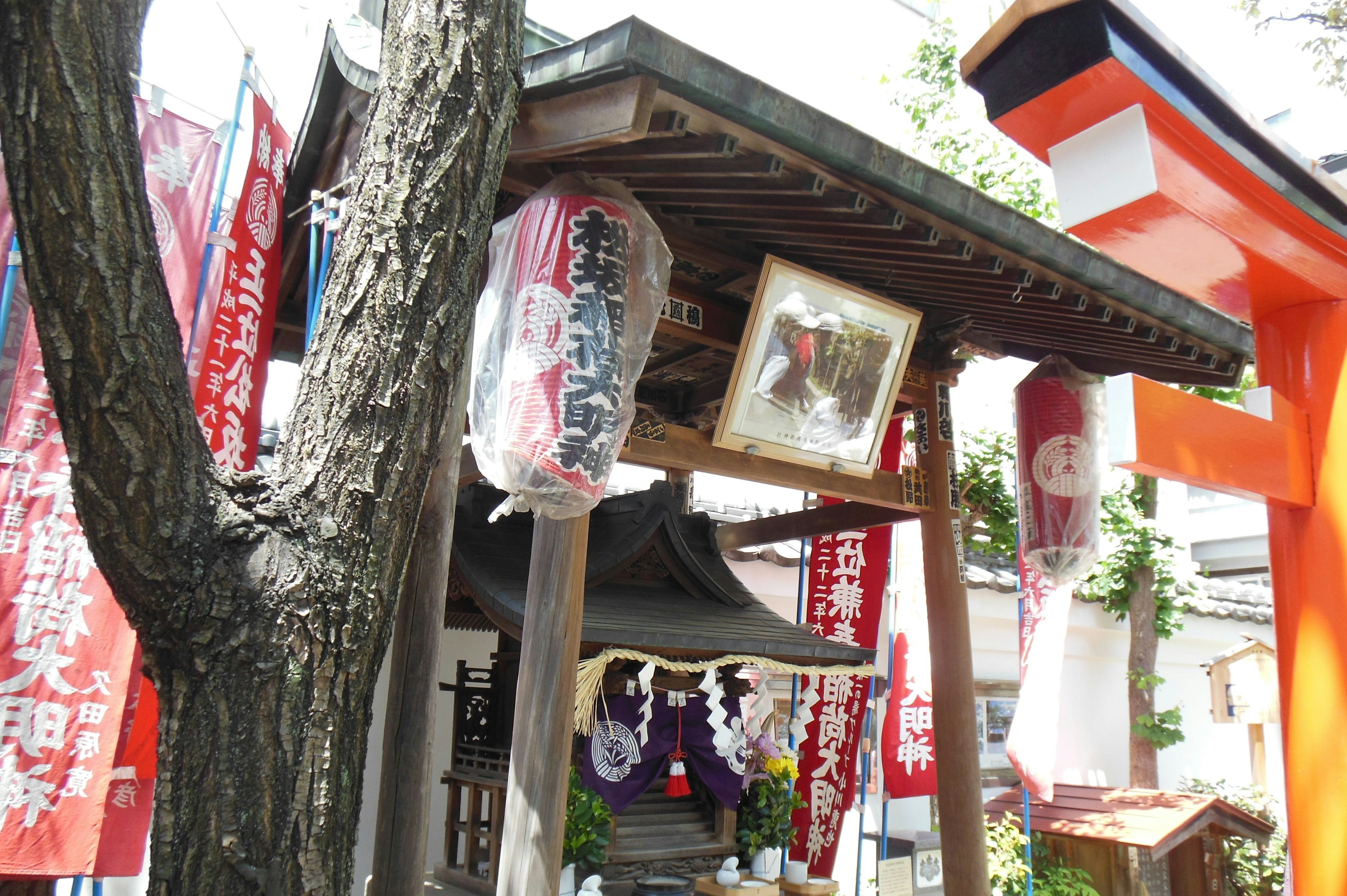 Scenic view of a shrine with red banners and a tree branch in the foreground