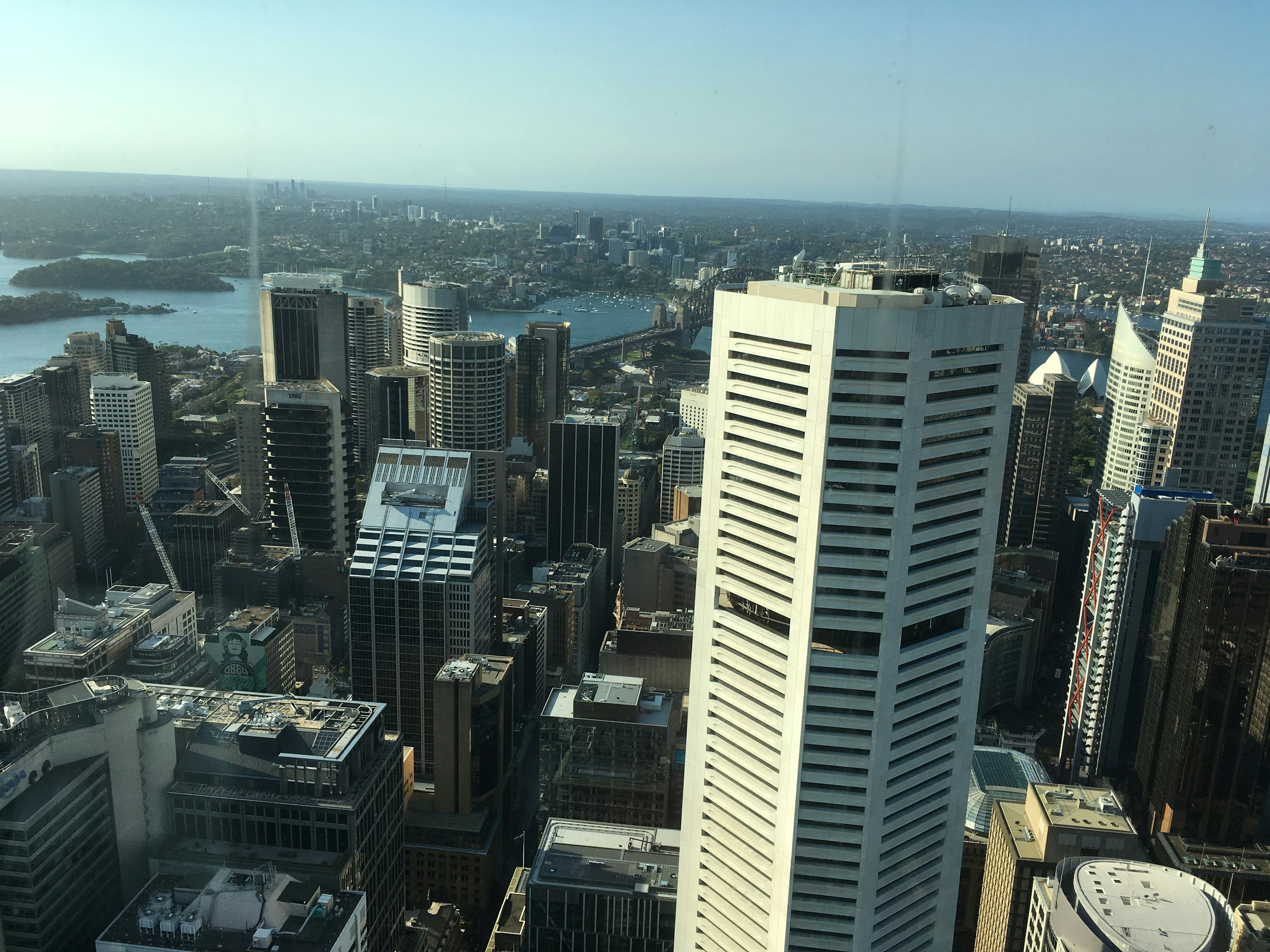 Blick auf die Skyline von Sydney mit Wolkenkratzern und Hafen